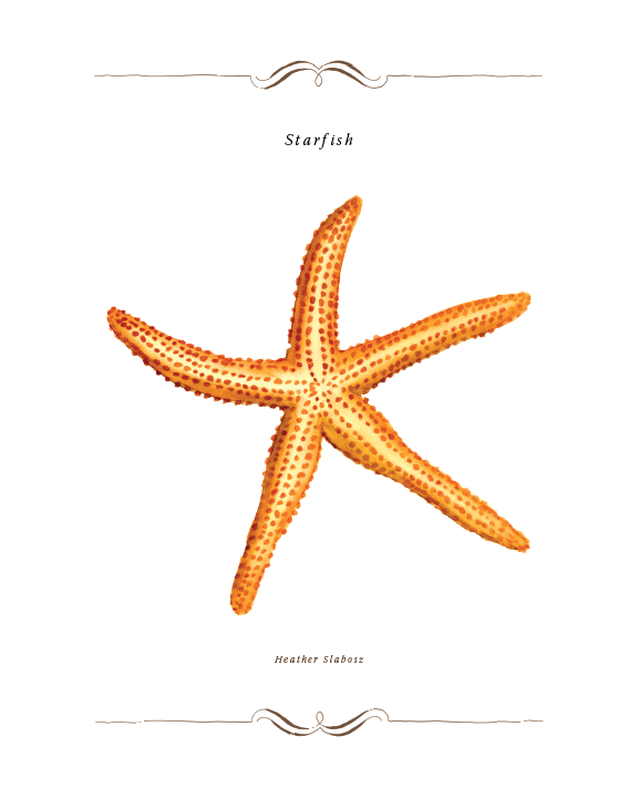 Star_Fish_Watercolor_Print.png