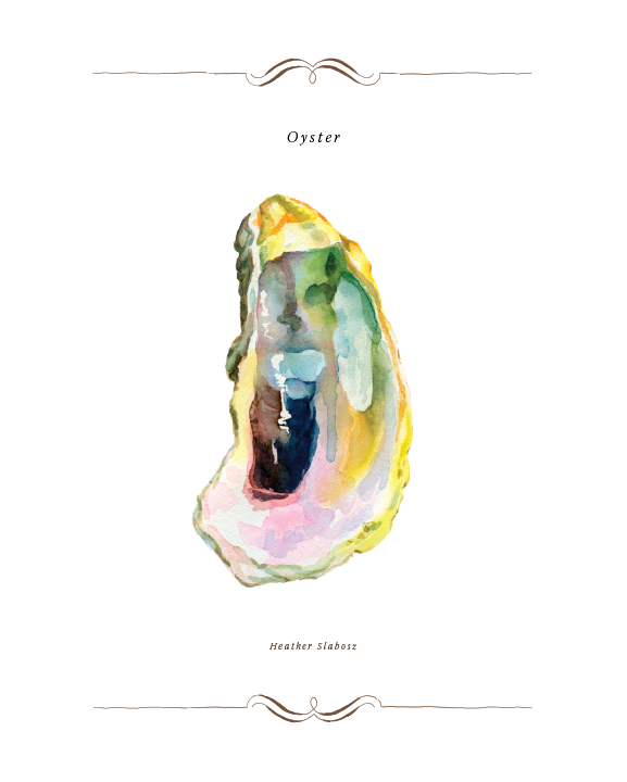 Oyster_Watercolor_Print.png