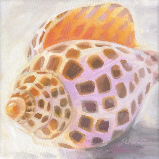 Junonia_Heather_Slabosz.jpg
