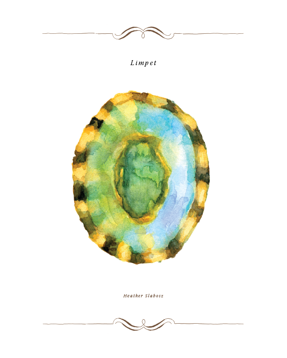 Limpet Inside_Watercolor_Print.png