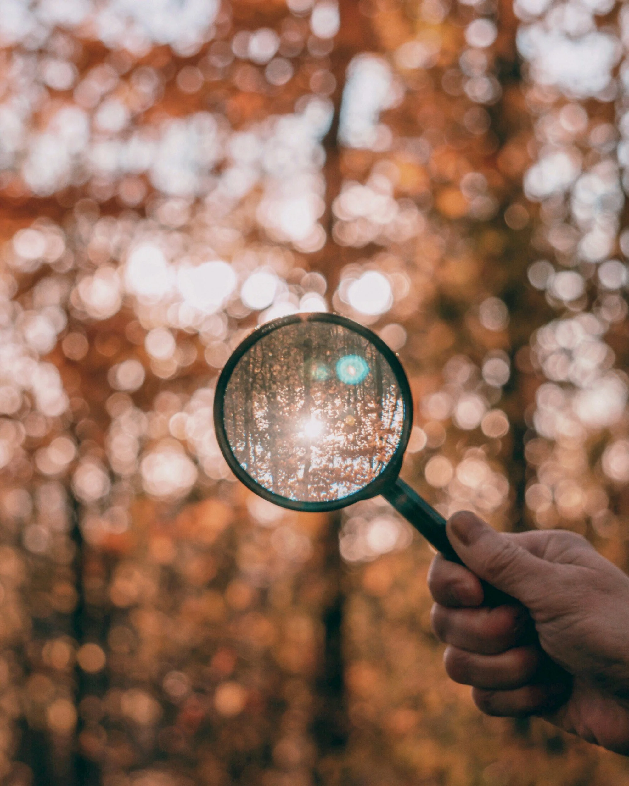 explore