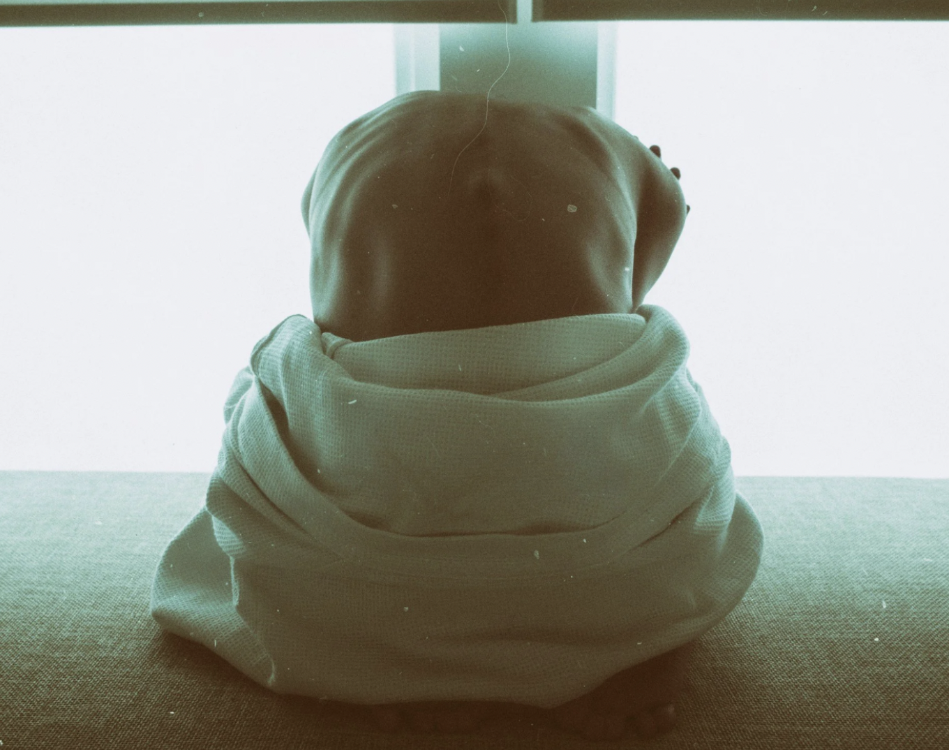 Shame &amp; Guilt: Carrying what is not ours.