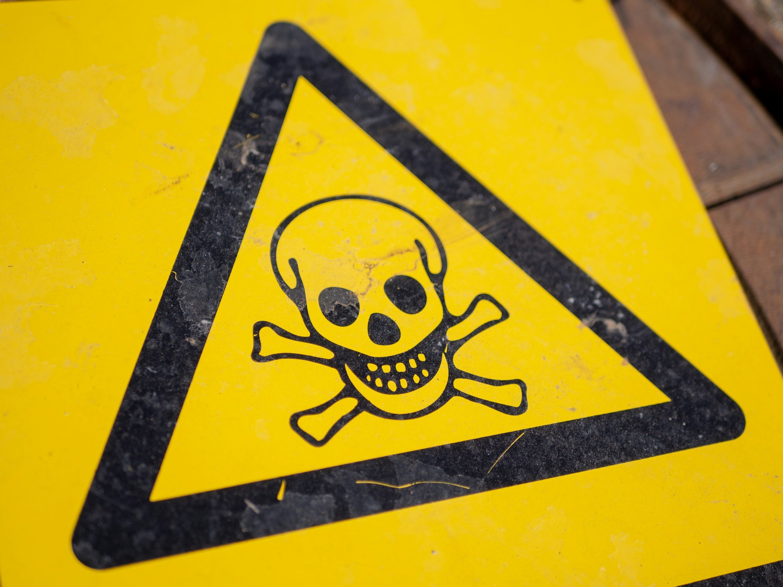 Why Everything Feels Like a Threat: Understanding Trauma and the Nervous System