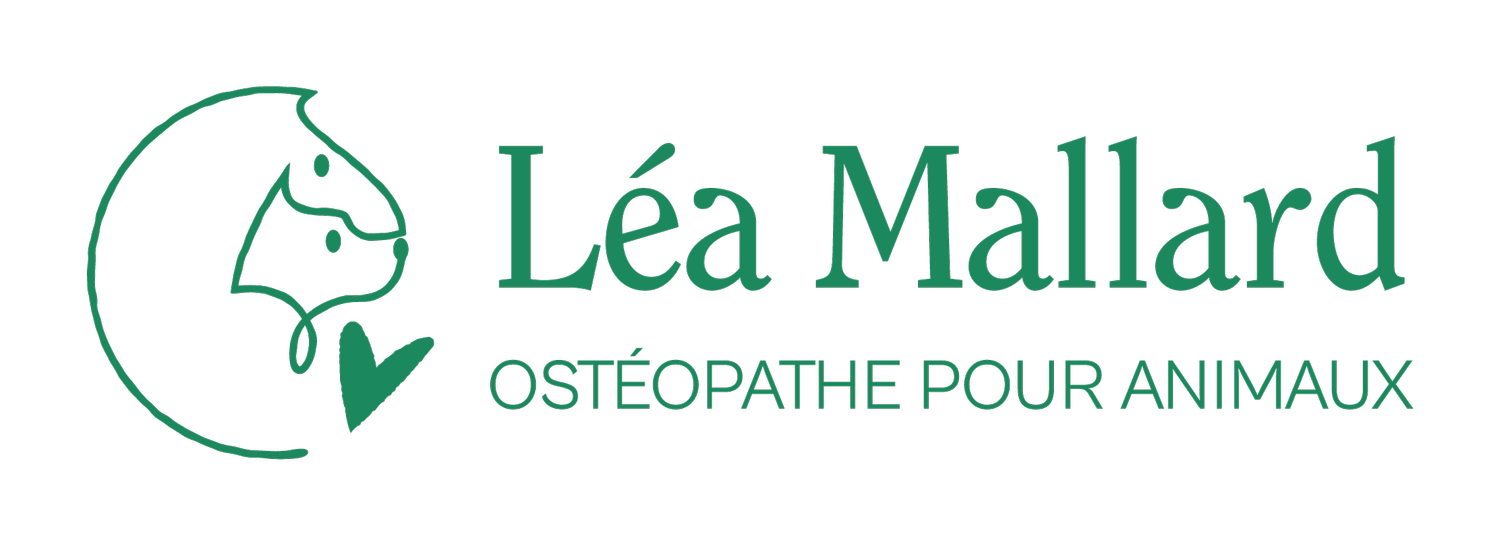 Léa Mallard, Ostéophathe pour animaux