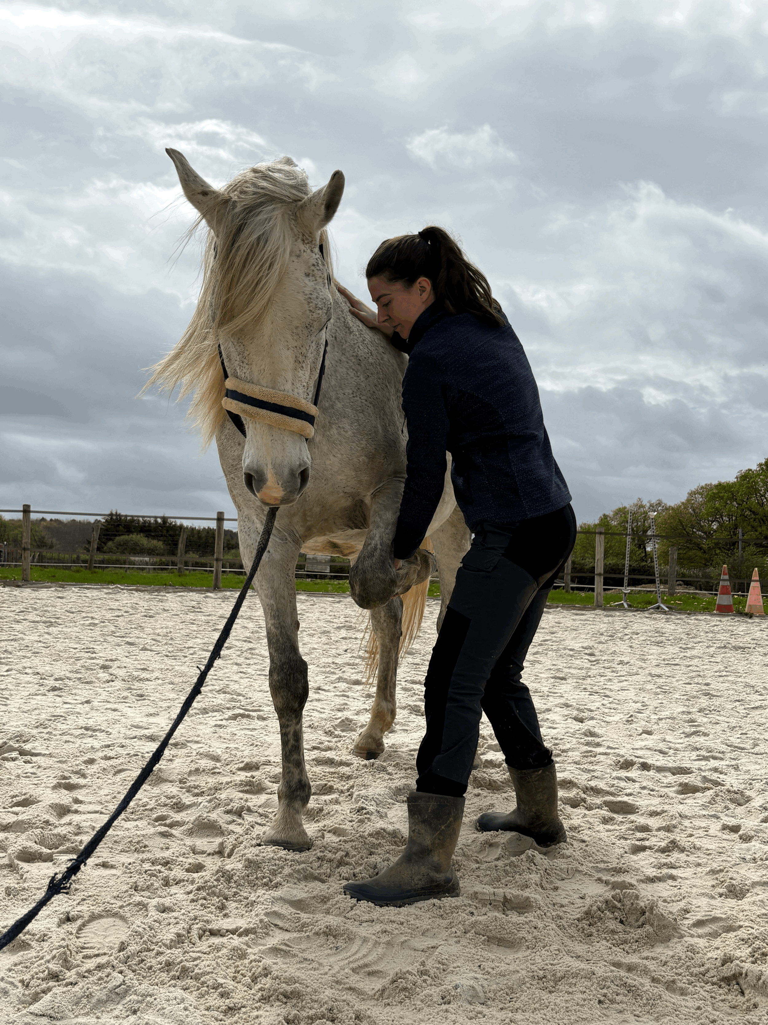 Cheval