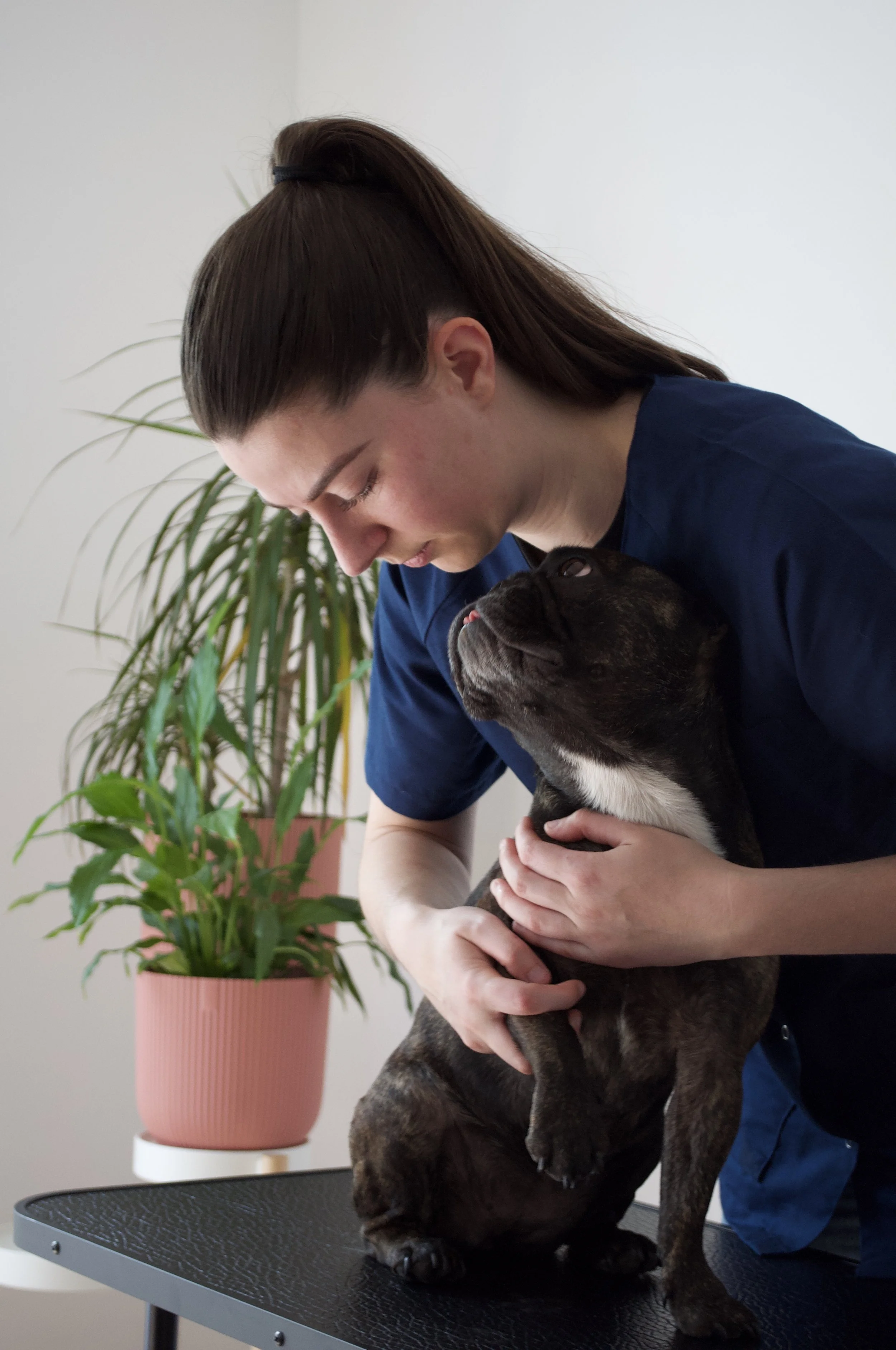 Léa Mallard, ostéopathe animalier, en séance avec un chien.