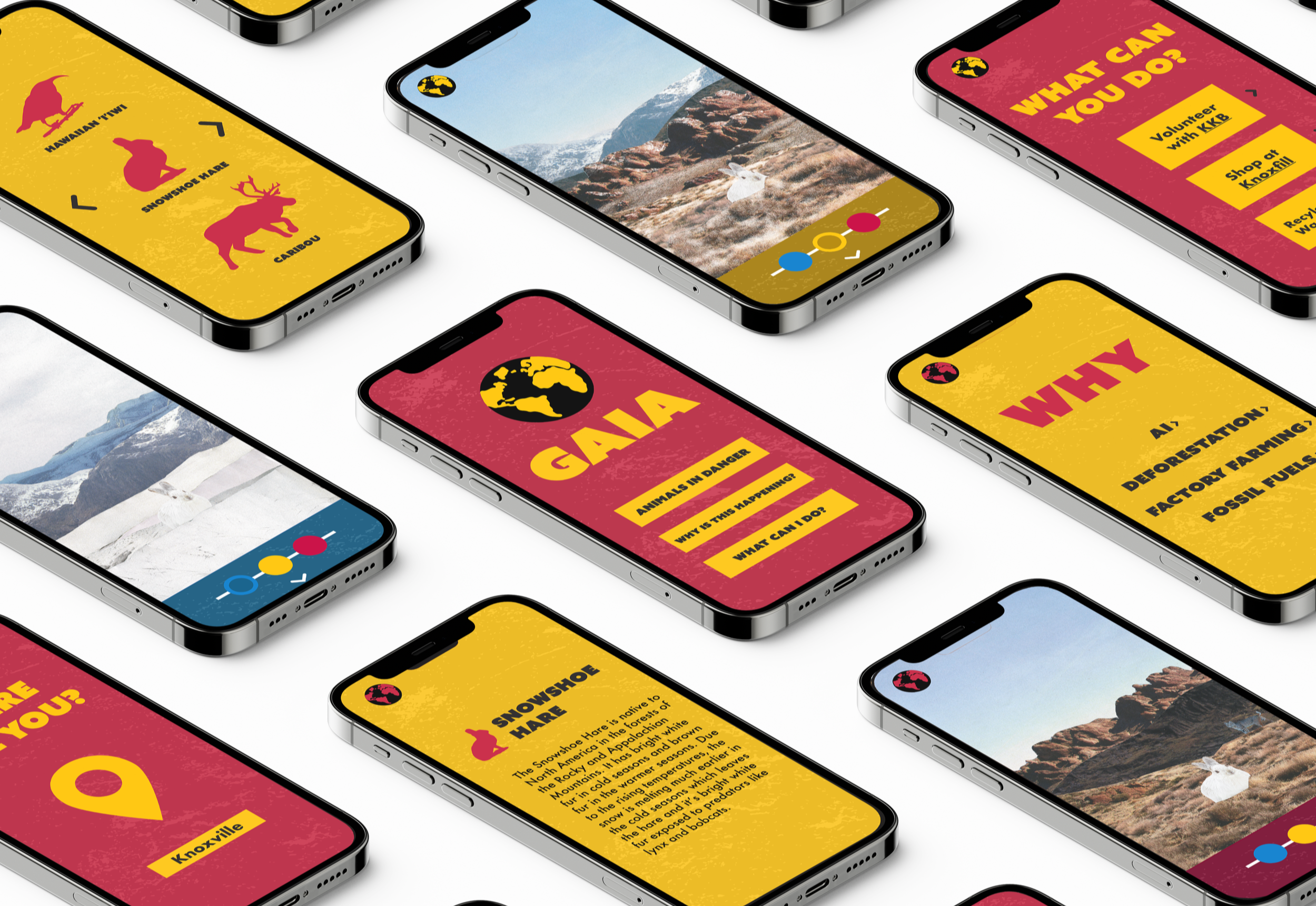 screens%252Bmockup.png