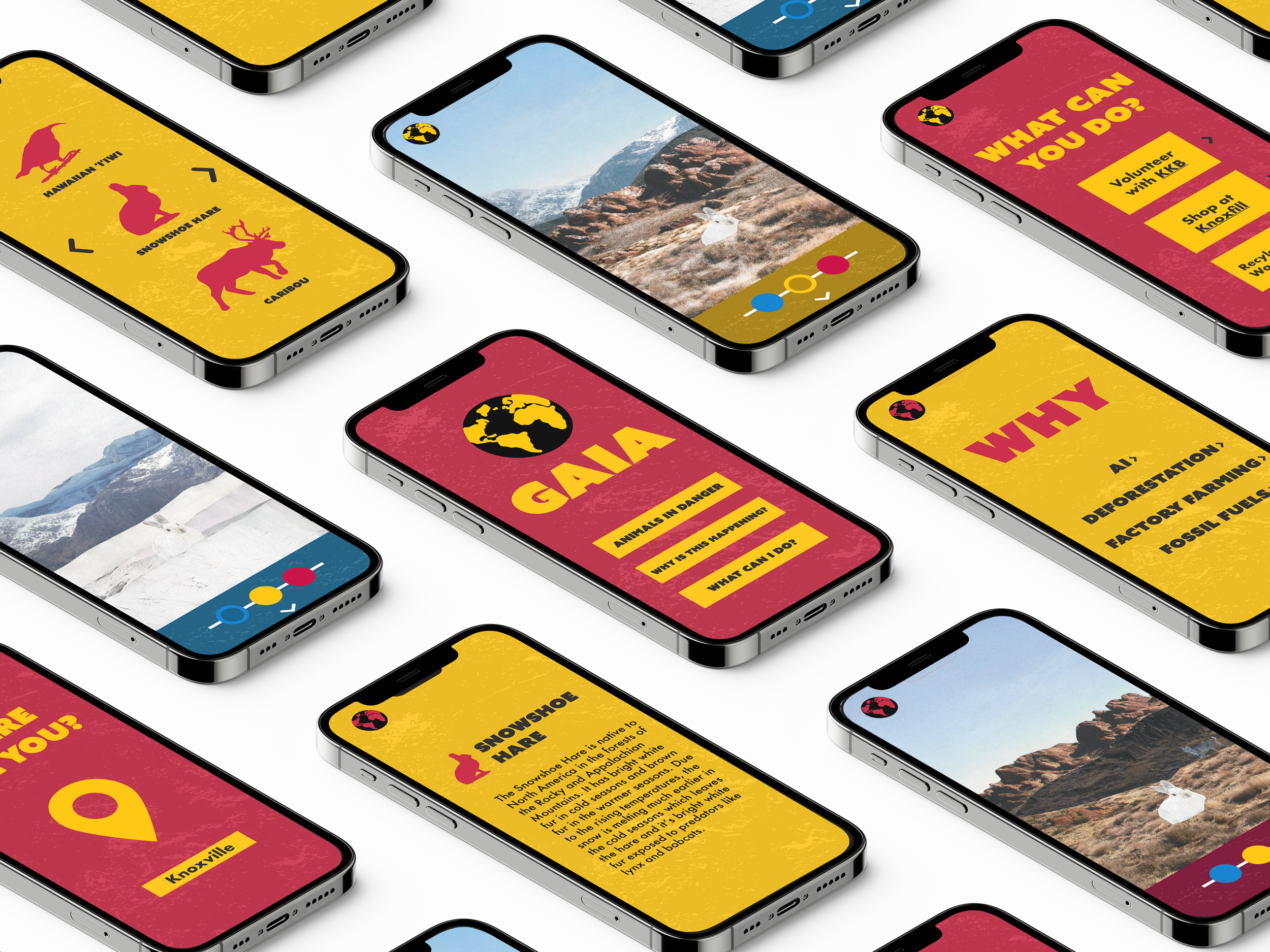 screens mockup.png