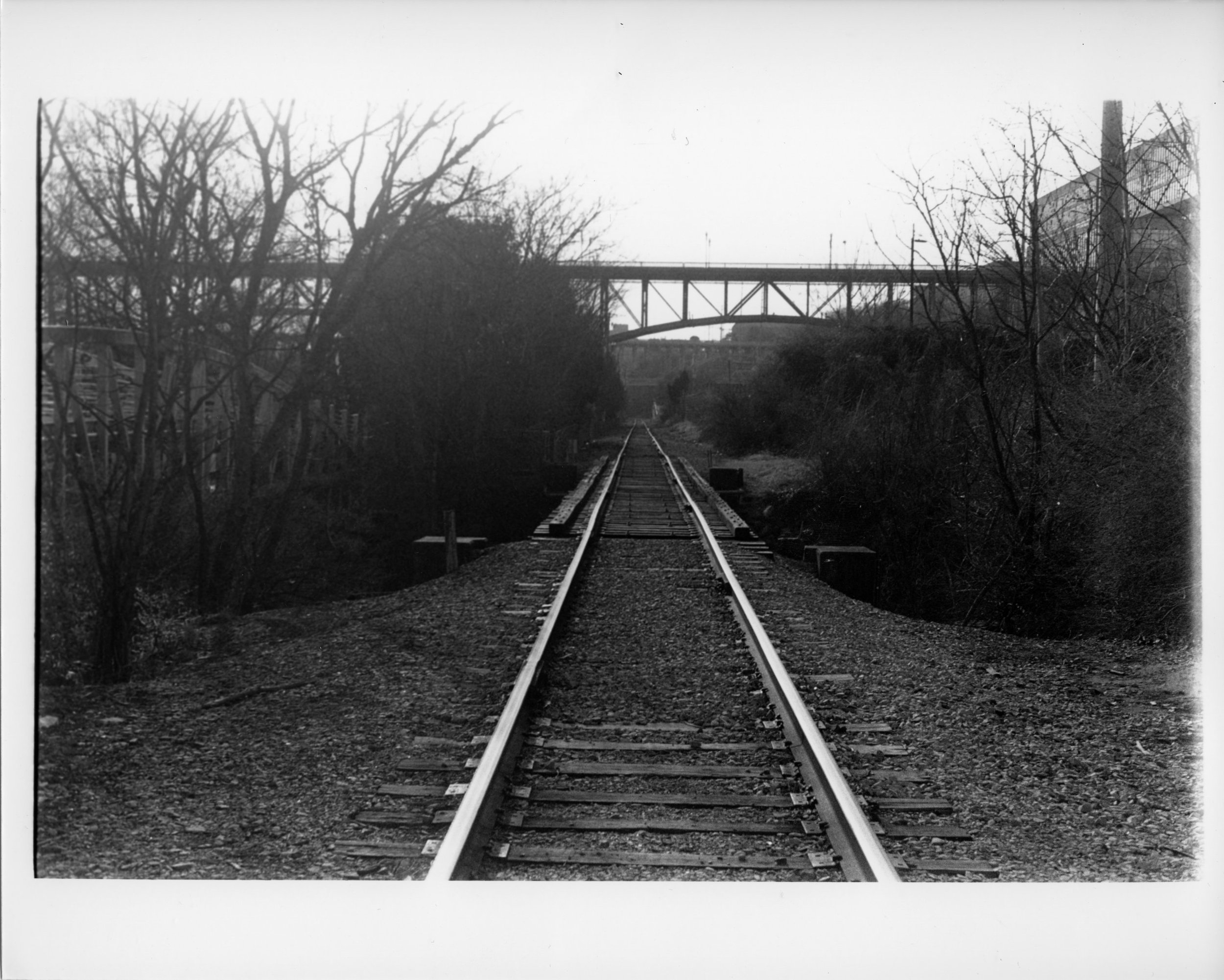lowe05 3.JPG