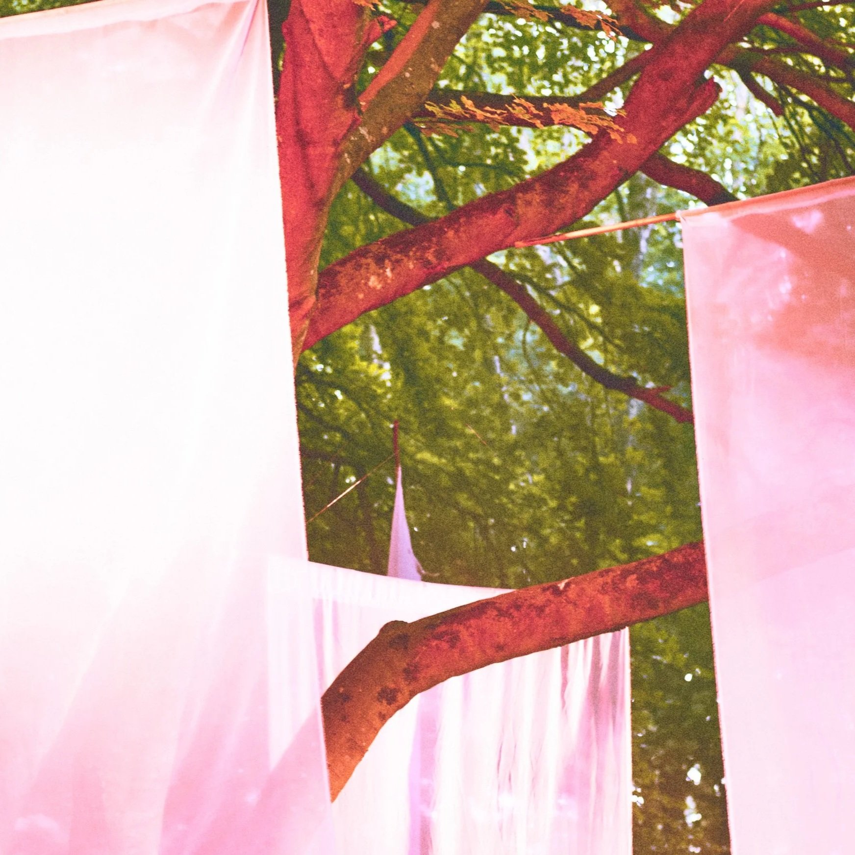 Fabric and Rugs