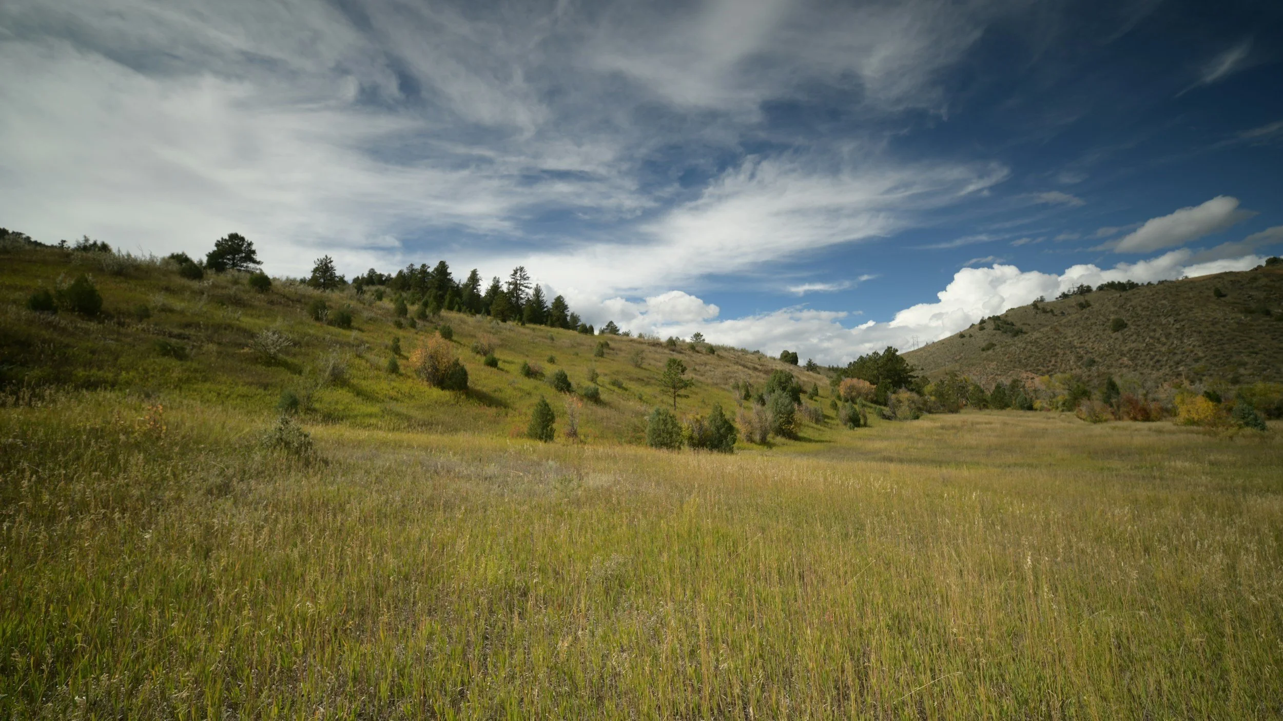 Scenic view of rolling green hills with scattered trees under a partly cloudy sky.