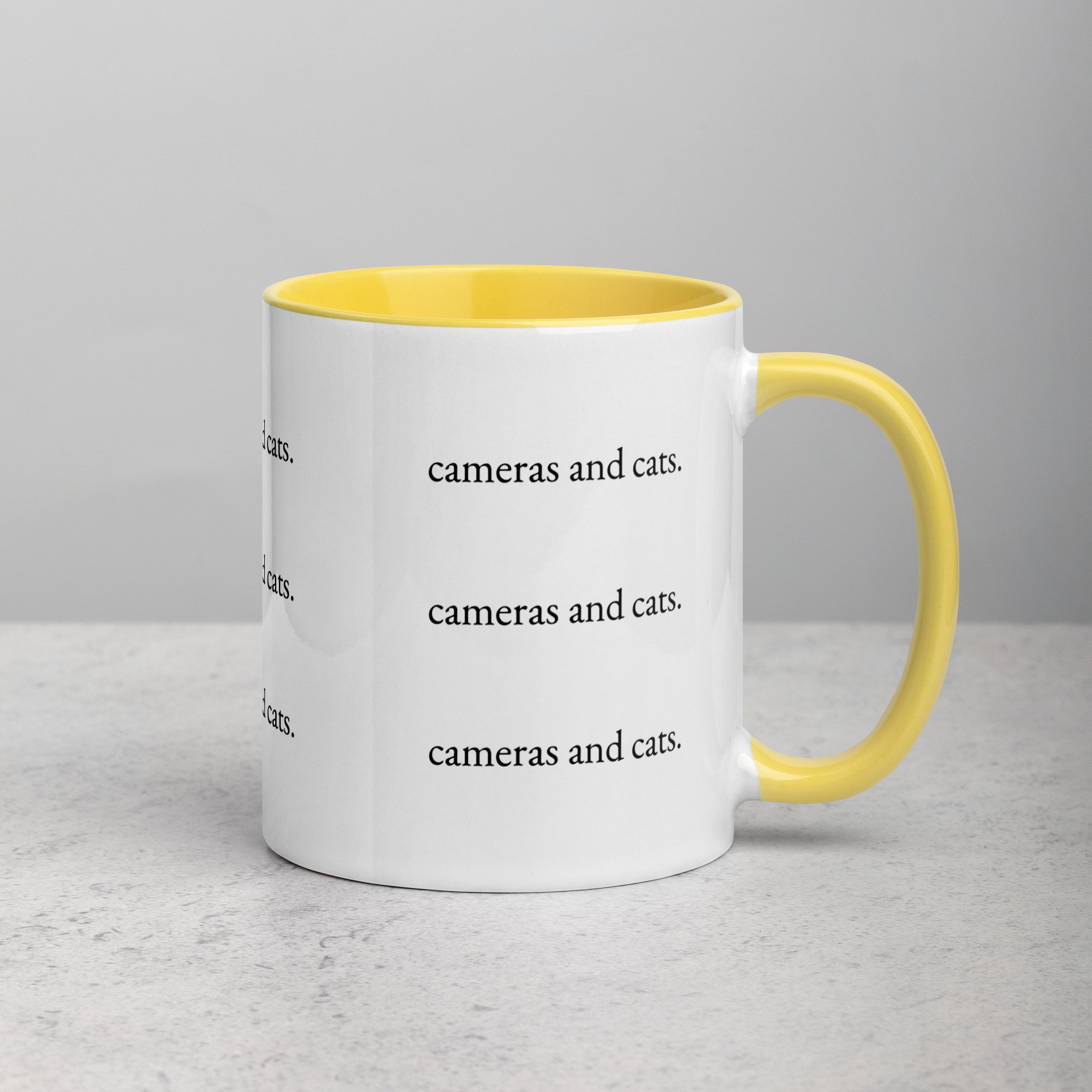 Cameras and Cats Mug with Color Inside