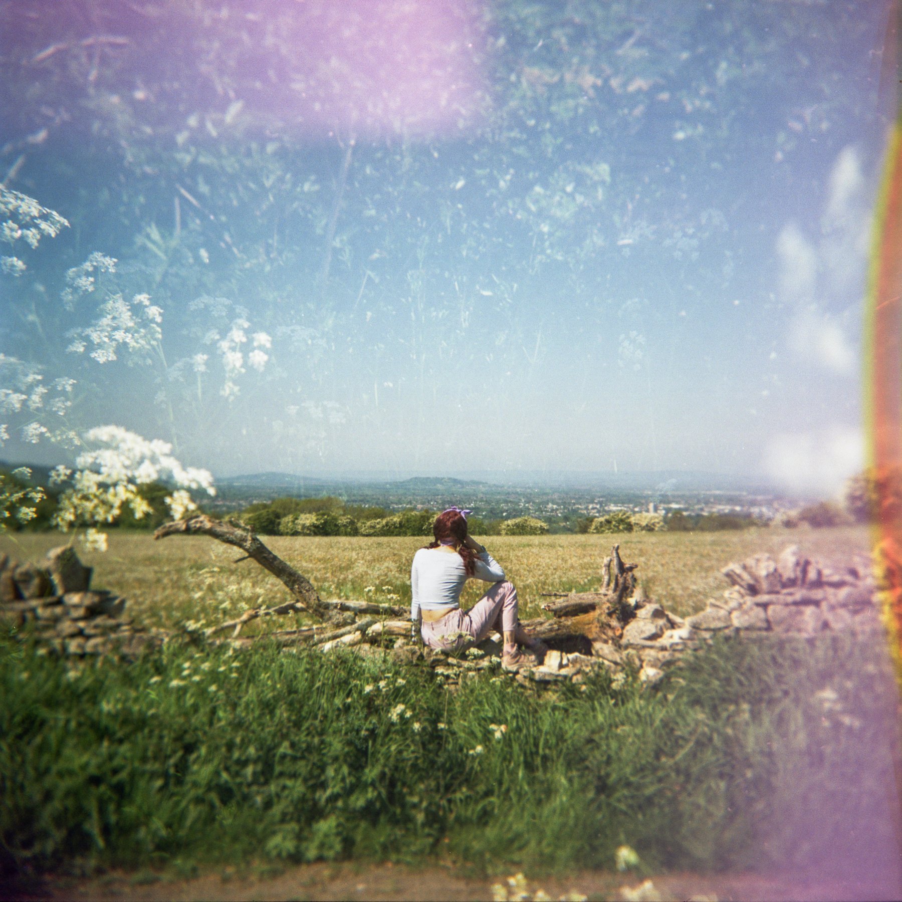 Holga 120 GCFN &amp; Kodak Gold 200 /// The Cotswold Way