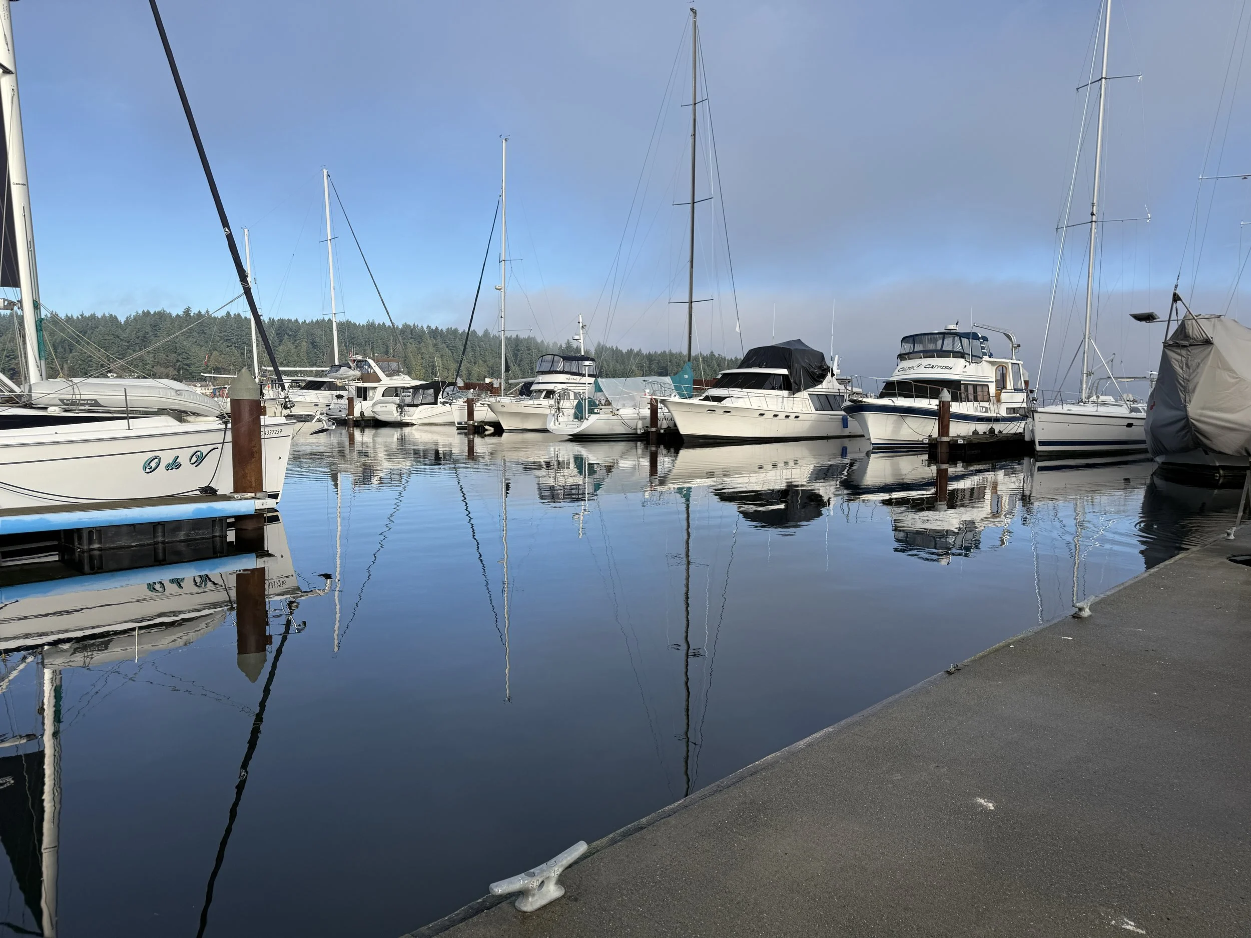 "Mill Bay Marina" Just minutes away in Saanich Inlet