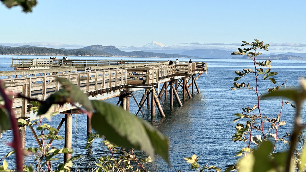 "Sidney Pier"
Charming waterfront boardwalk with shops, restaurants, and beautiful ocean views. A perfect day trip. 20 minutes away.