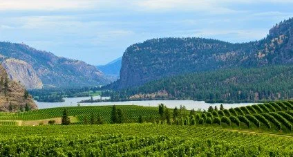 "Cowichan Valley Wineries"
Award-winning wineries offering tastings and tours. Explore the local wine route nearby.