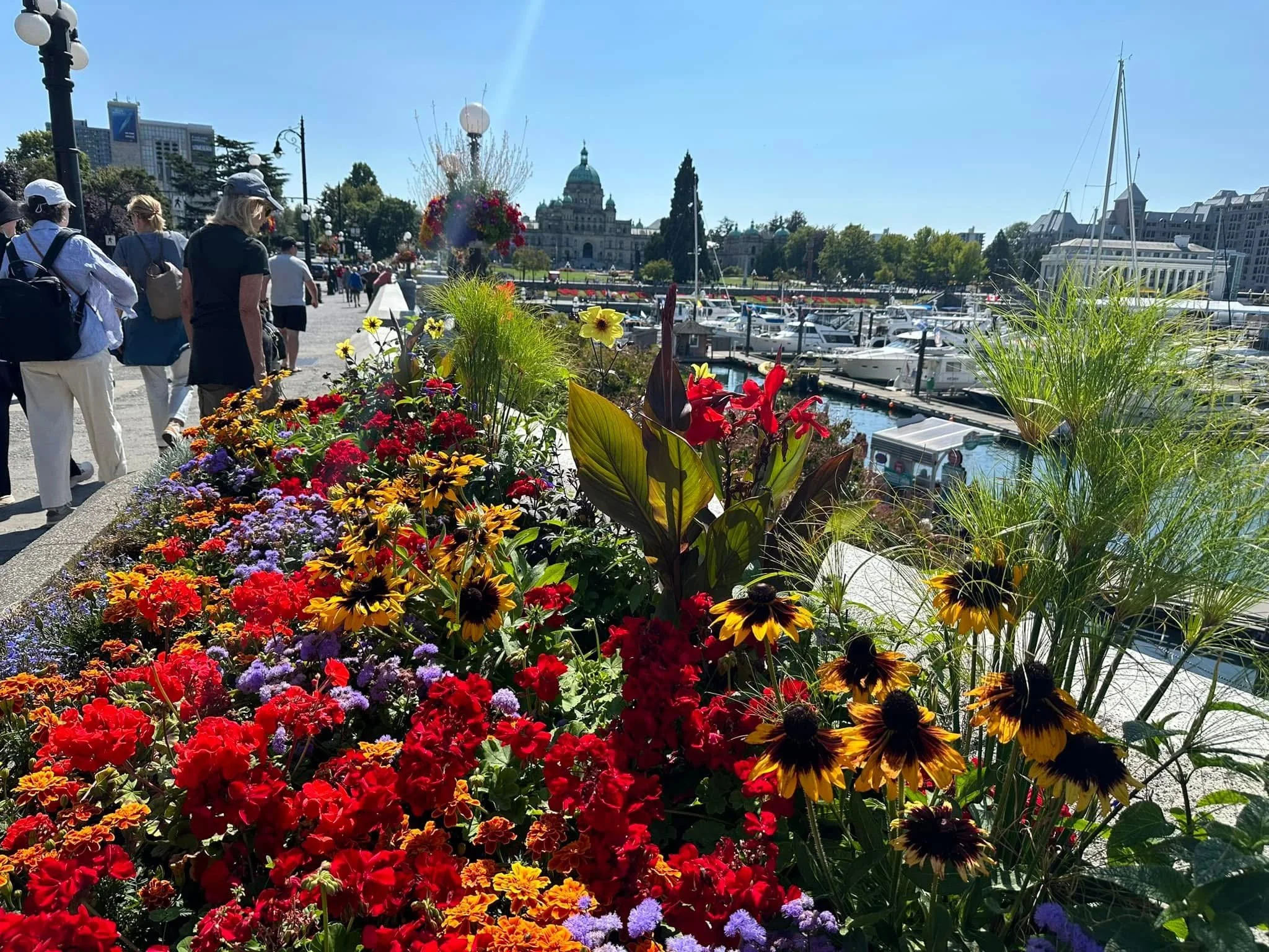 "Downtown Victoria, BC"
Approximately 30 minutes. 