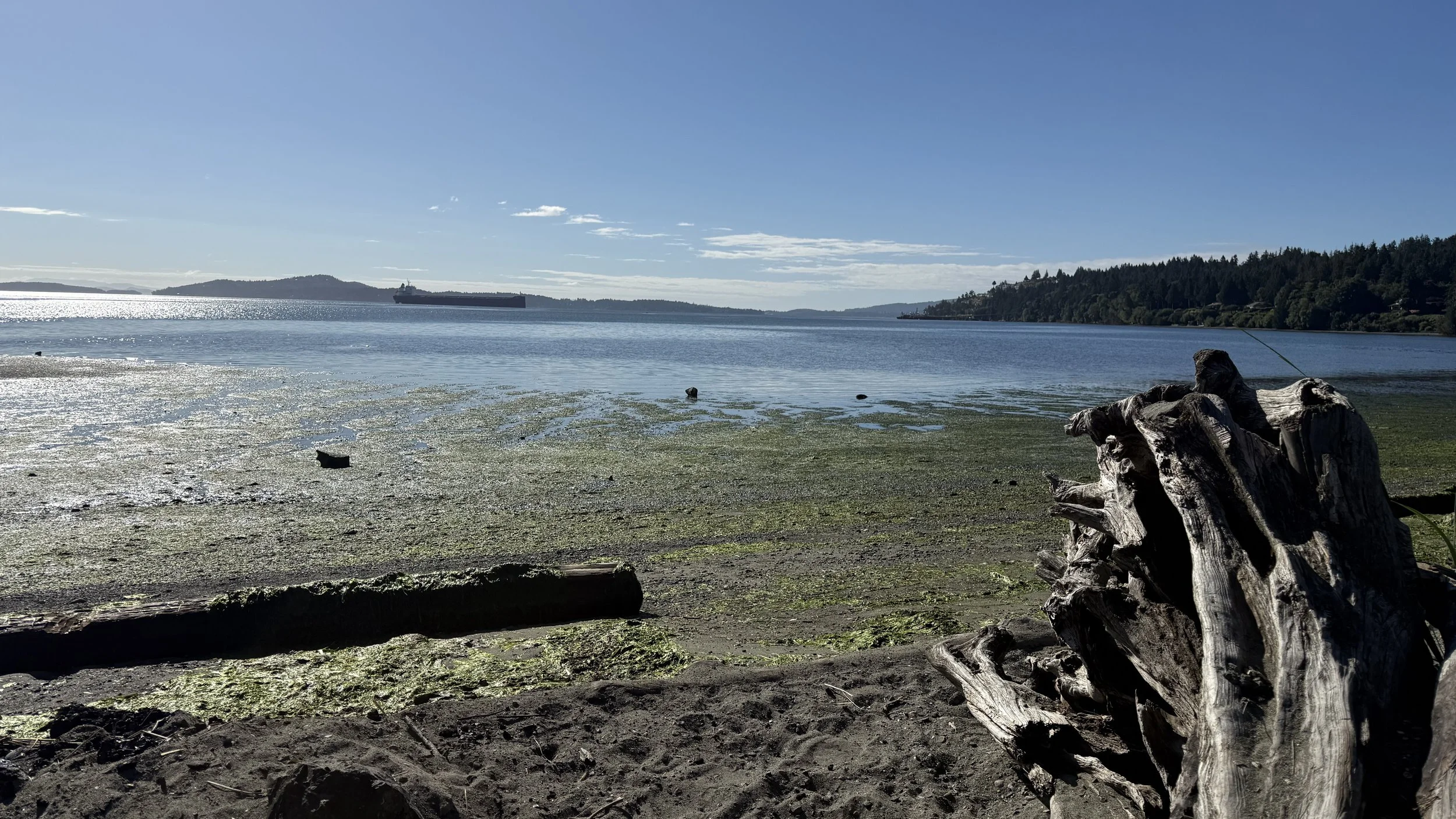 "Cherry Point Beach"

Local beach with rocky shoreline, tide pools, and stunning ocean views. Just 5 minutes away
