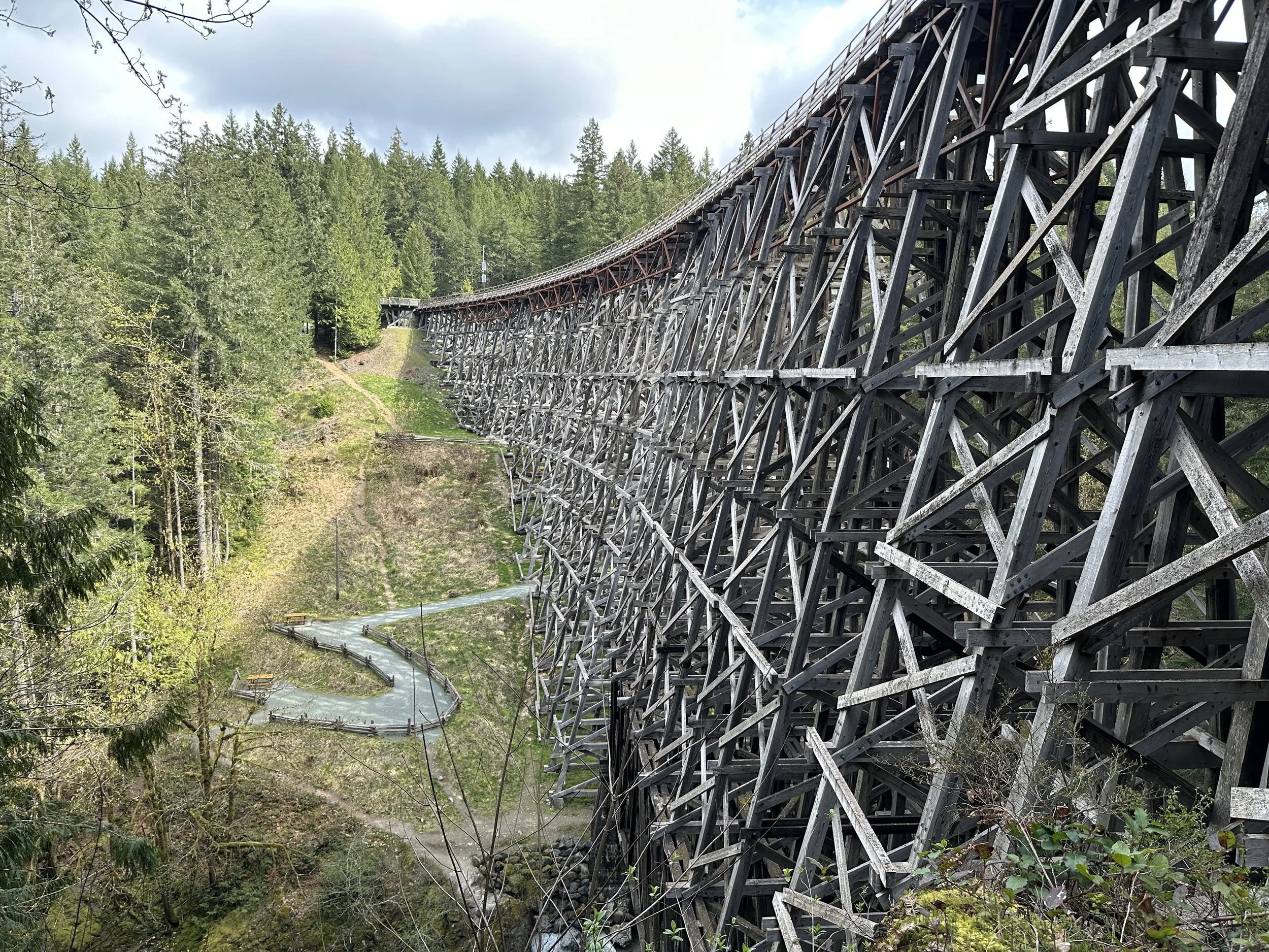 "Kinsol Threstle"
Historic wooden railway bridge spanning a scenic forest valley. Perfect for hiking and photography. 20 minutes away.