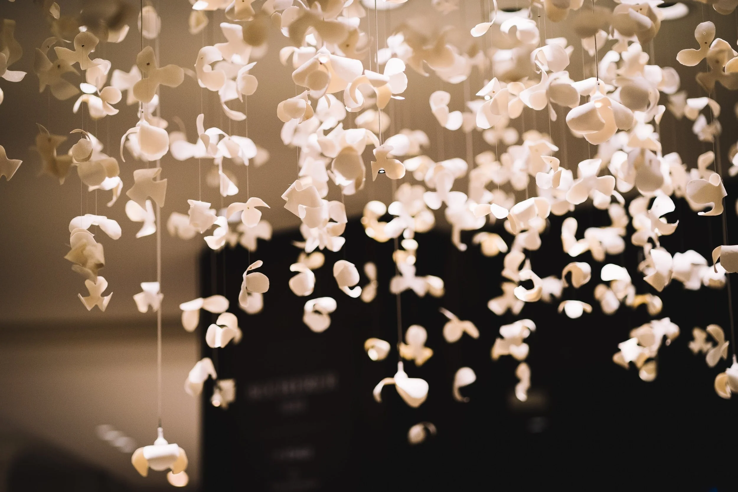 Installation artistique composée de nombreuses fleurs blanches suspendues dans l'air, créant un effet visuel léger et aérien.