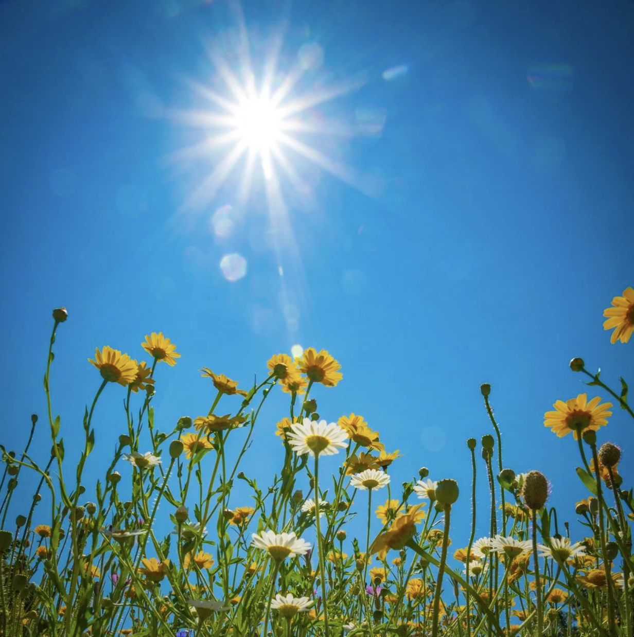 Skin In The Sun: Your Summer Guide To Serums, Protection, And Staying Safe In The Heat