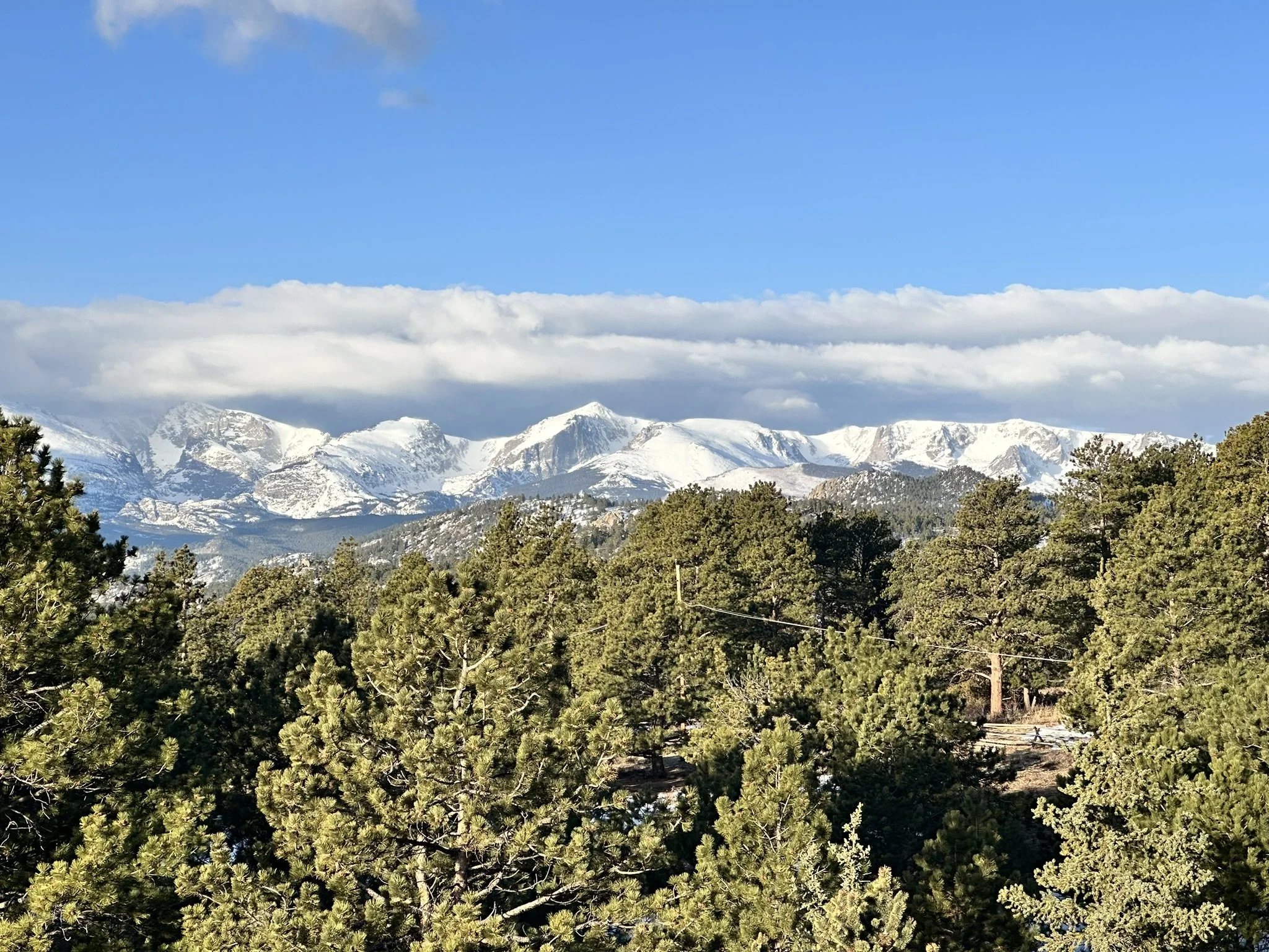 Snow-capped mountains under a blue sky with some clouds, with a forest of green pine trees in the foreground.