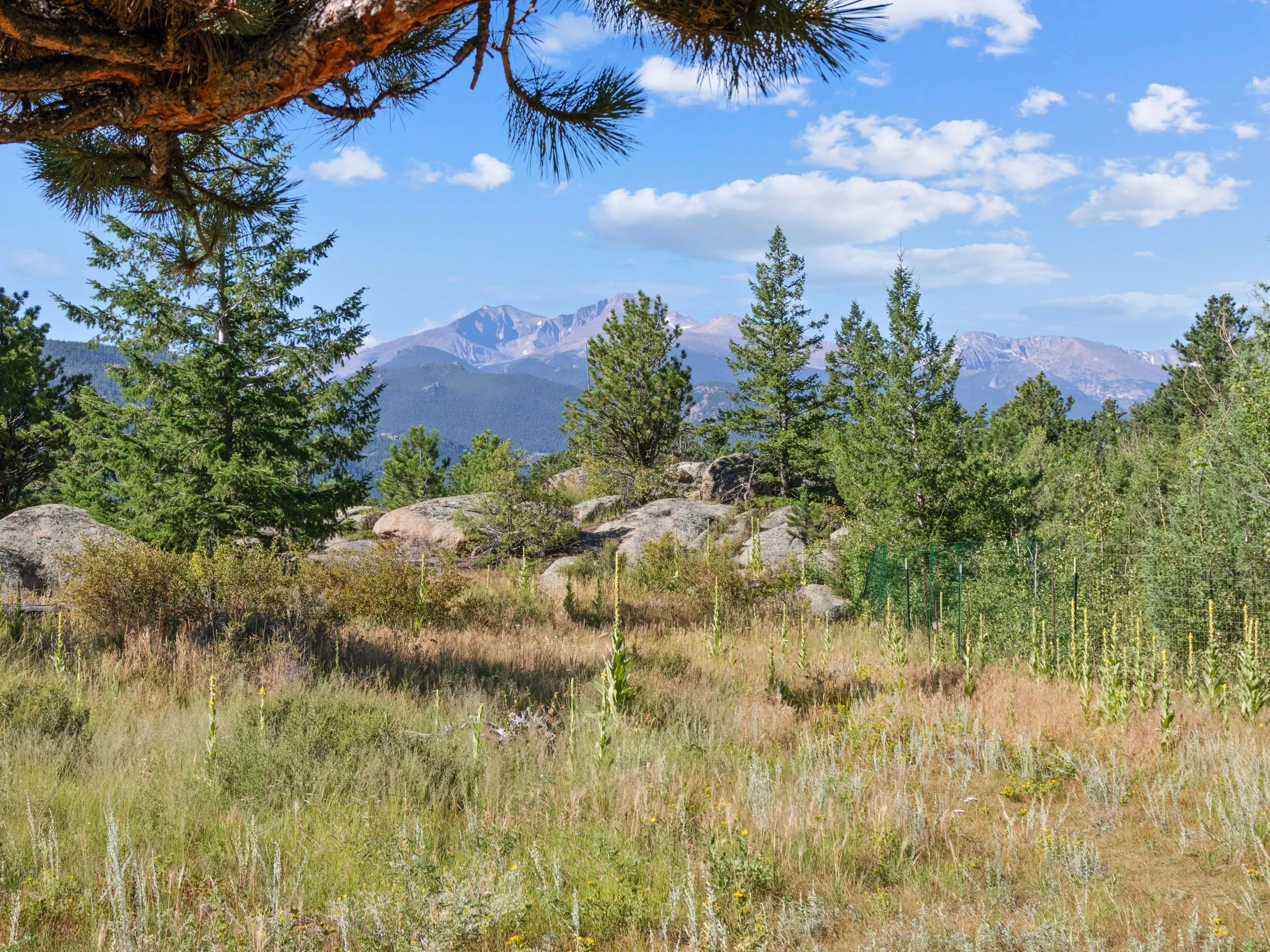 A scenic view of a mountain range in the distance, framed by pine trees and rocks in the foreground, with a blue sky and scattered clouds above.