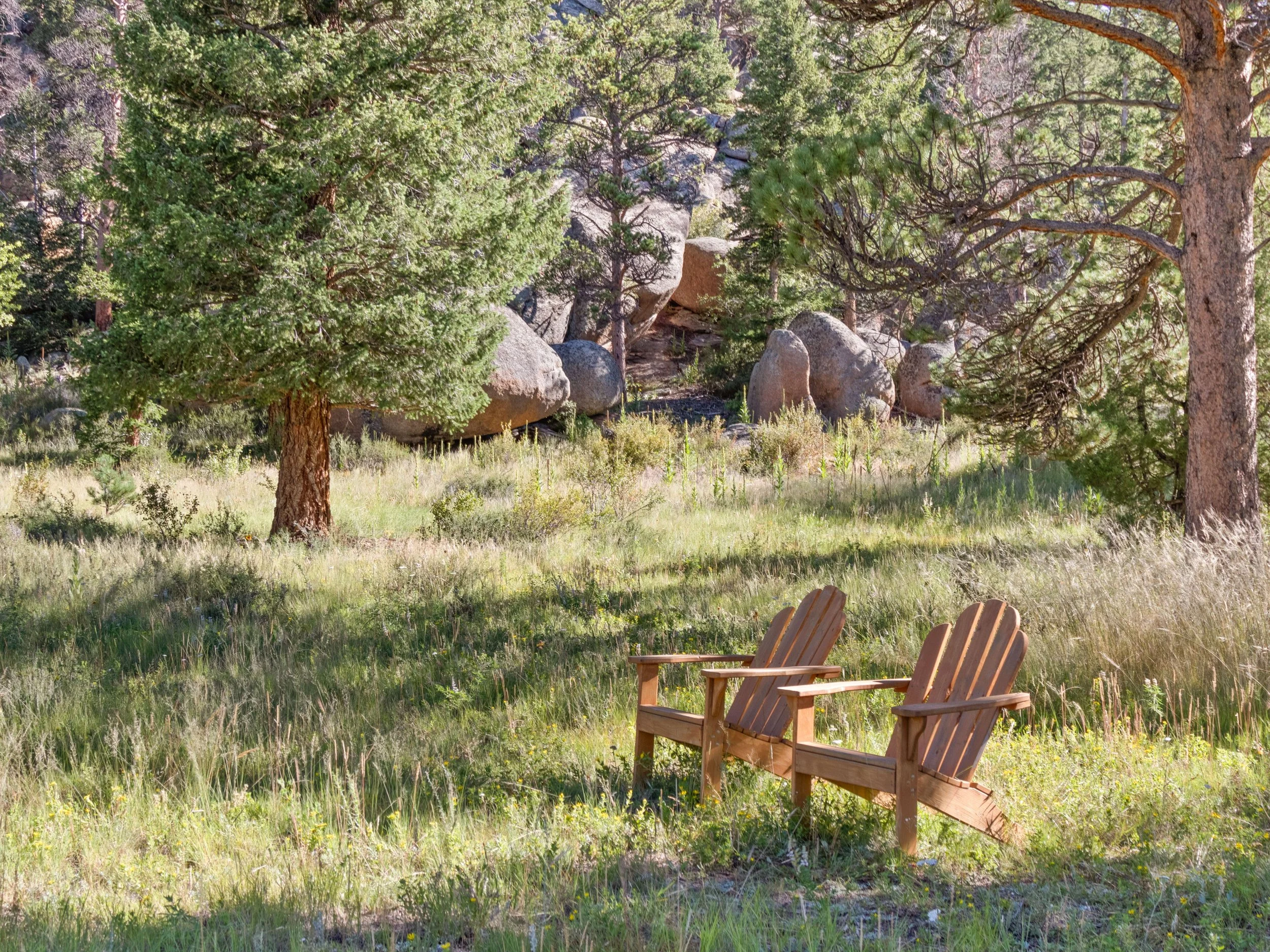 Two wooden chairs on a grassy lawn with trees and large rocks in the background in a forest setting.