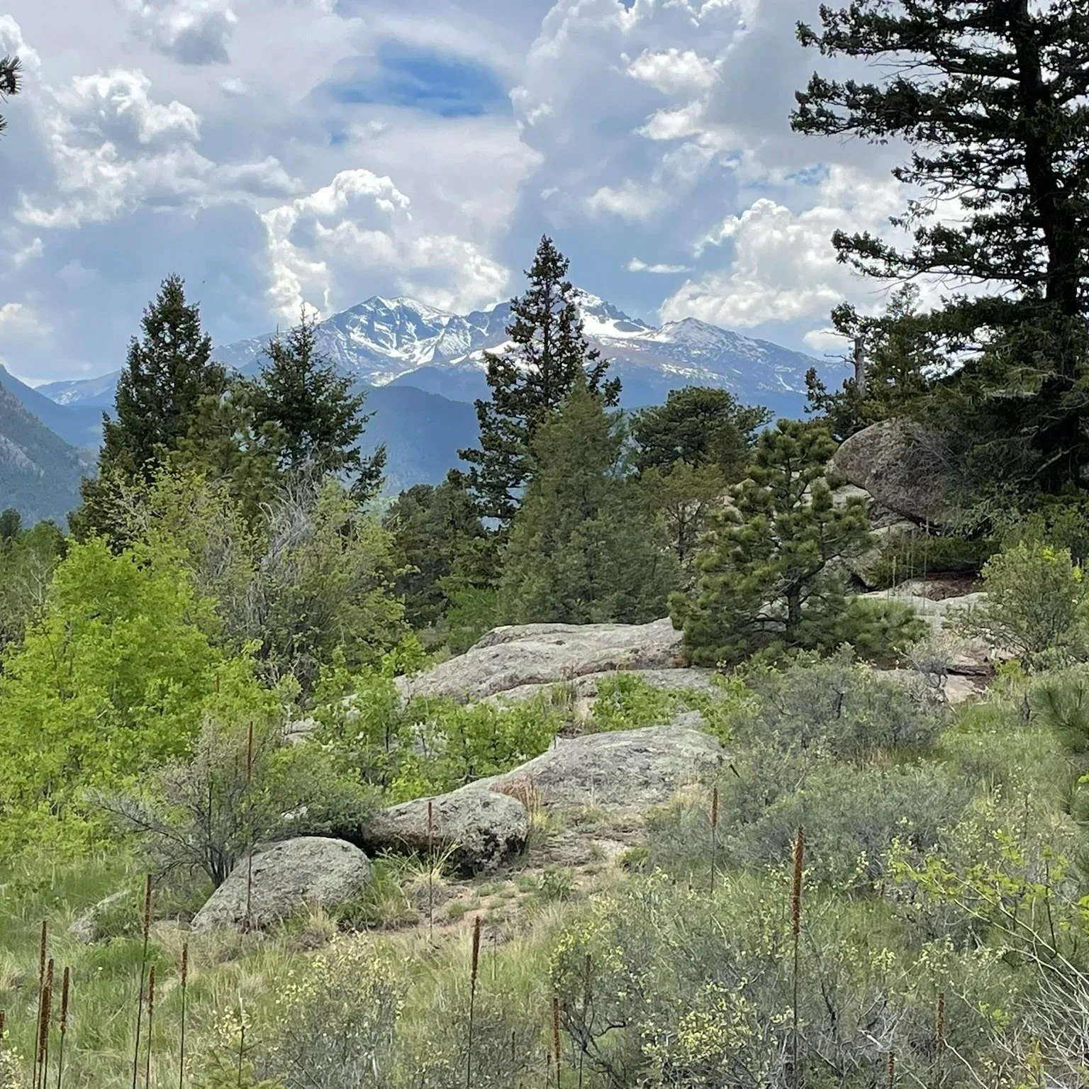 View from Meadow