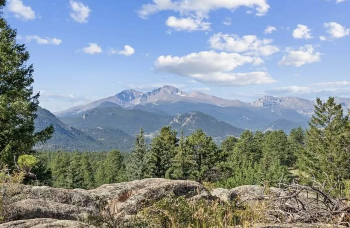 Scenic view of distant mountains under a partly cloudy sky, with a forest of evergreen trees and rocks in the foreground.
