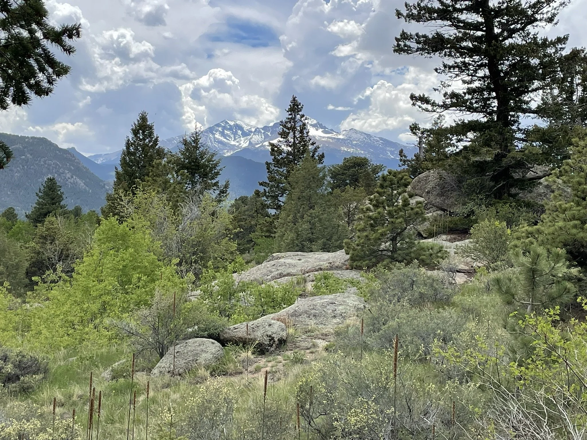 A scenic view of snow-capped mountains in the distance, surrounded by lush green trees and bushes, with a partly cloudy sky overhead.