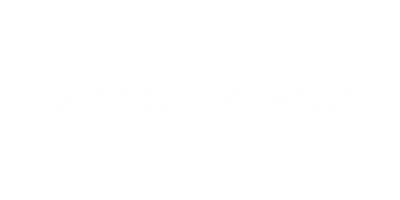 Wells Fargo logo in black and white.