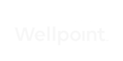 Wellpoint logo with a stylized leaf symbol above the text.