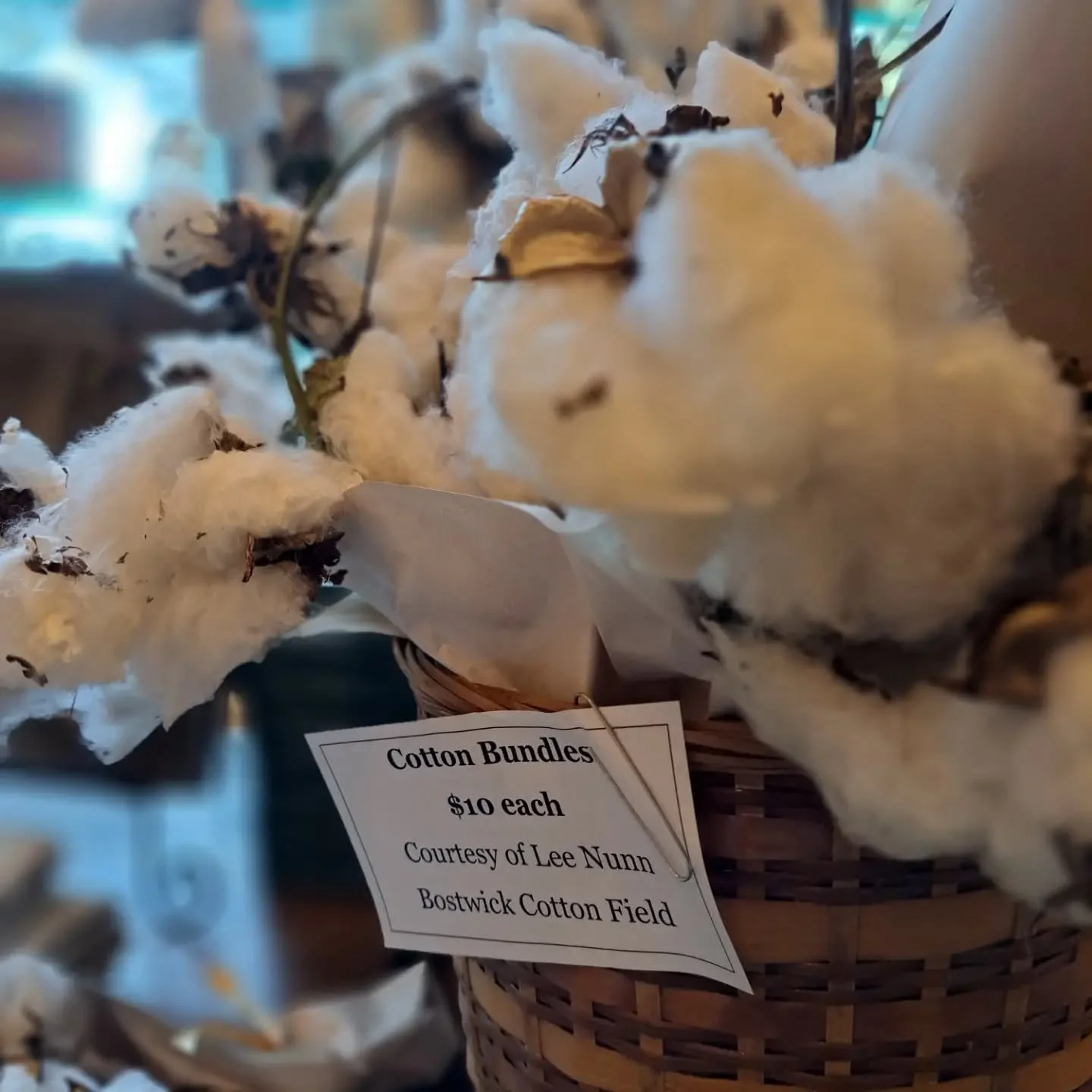 NEW*** museum shop items! 

 Local fresh picked cotton bundles thanks to Lee Nunn from his Bostwick cotton field. Limited supply and only $10 a bundle! 

Stop by and visit us. We have restocked lovely artisan items from pottery, to fused glass, rare 