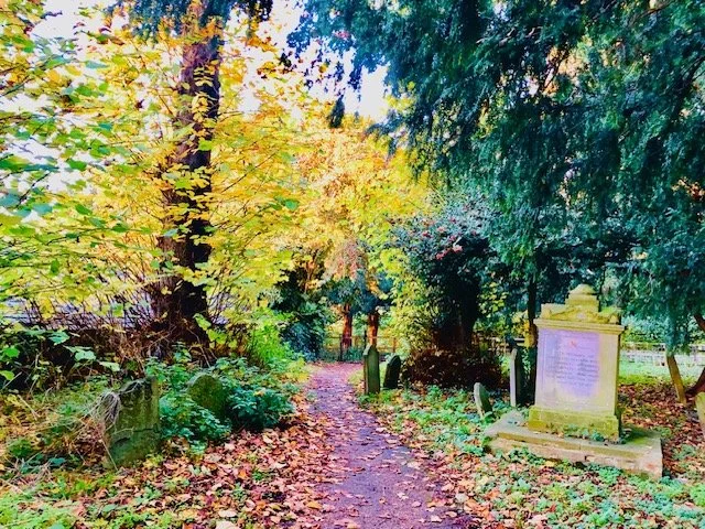 A wooded path in a park or cemetery with colorful fall foliage, tombstones, and a moss-covered monument. The image invites to go on walks in the town of Framlingham and nearby.