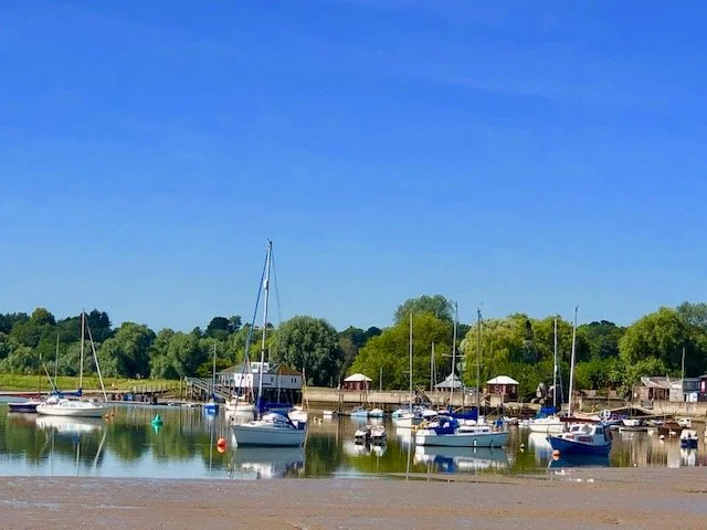 Marina with several sailboats docked near a wooded shoreline on a clear day