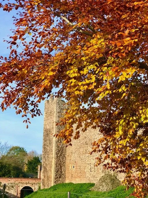 Autumn tree with orange and yellow leaves in front of a stone castle wall.
