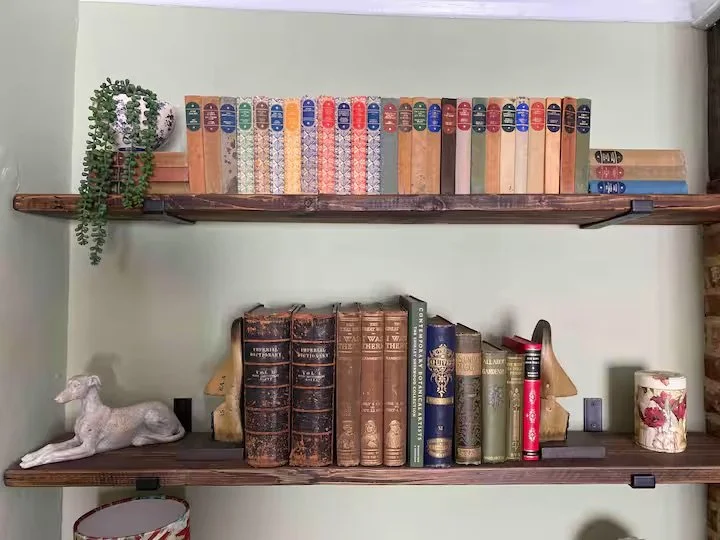 Two wooden shelves mounted on a light green wall, holding books and decorative items. The top shelf has a row of hardcover books with colorful labels and a potted plant with trailing greenery on the left. The bottom shelf features vintage leather-bou