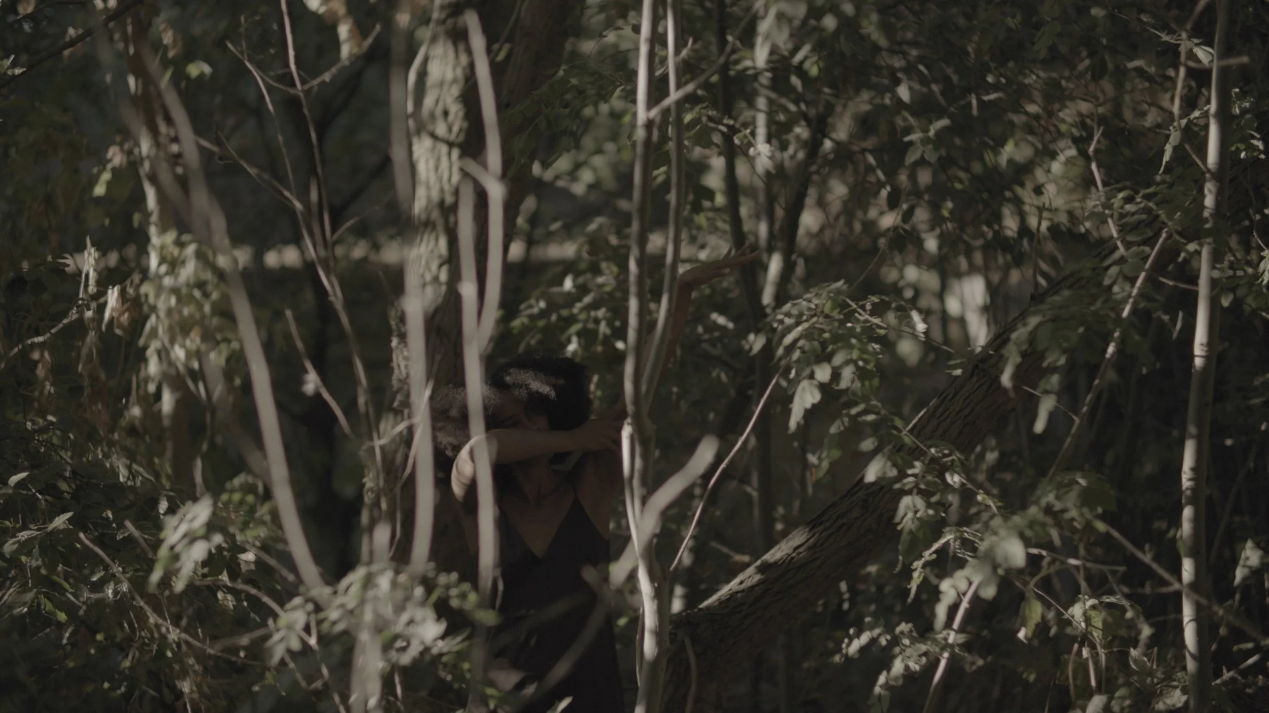 Person with curly hair hugging a tree in a dense forest at night.