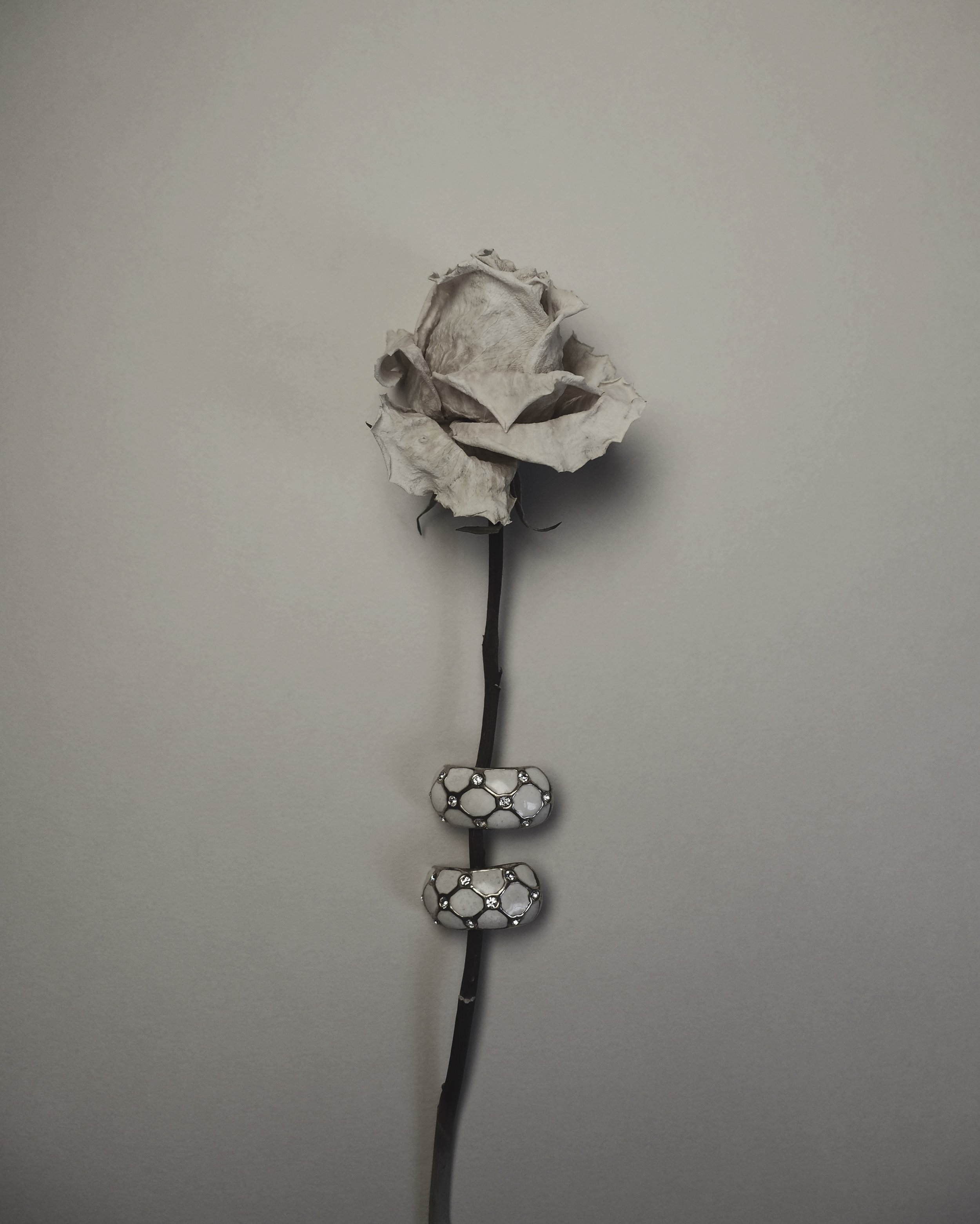 Eine weiße Rose mit einem schwarzen Stiel, darunter befinden sich drei Silberanhänger in kugelähnlicher Form, die mit kleinen Diamanten oder Kristallen bedeckt sind, alles auf einem grauen Hintergrund.
