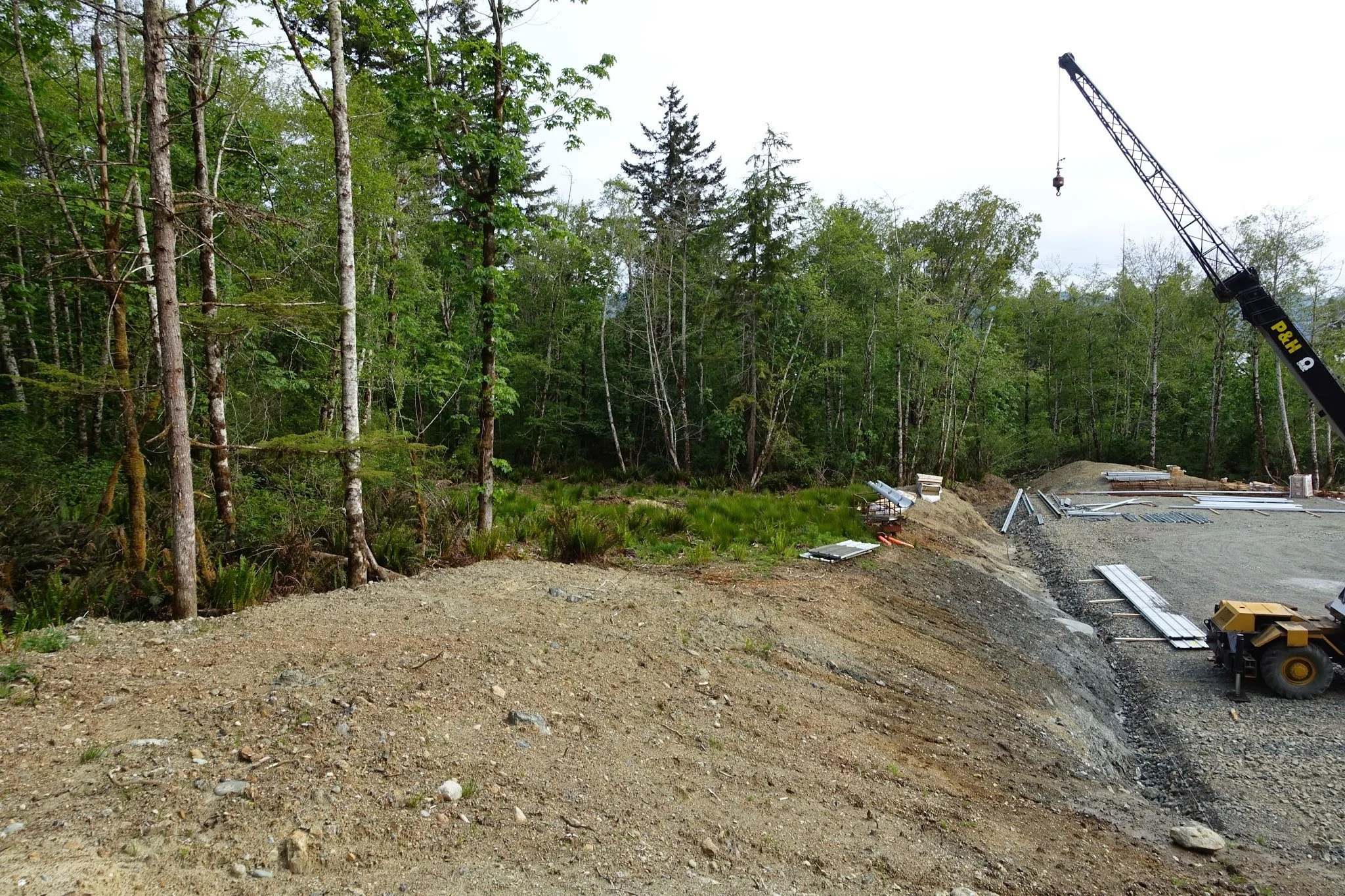 2015-05-17_4.JPG