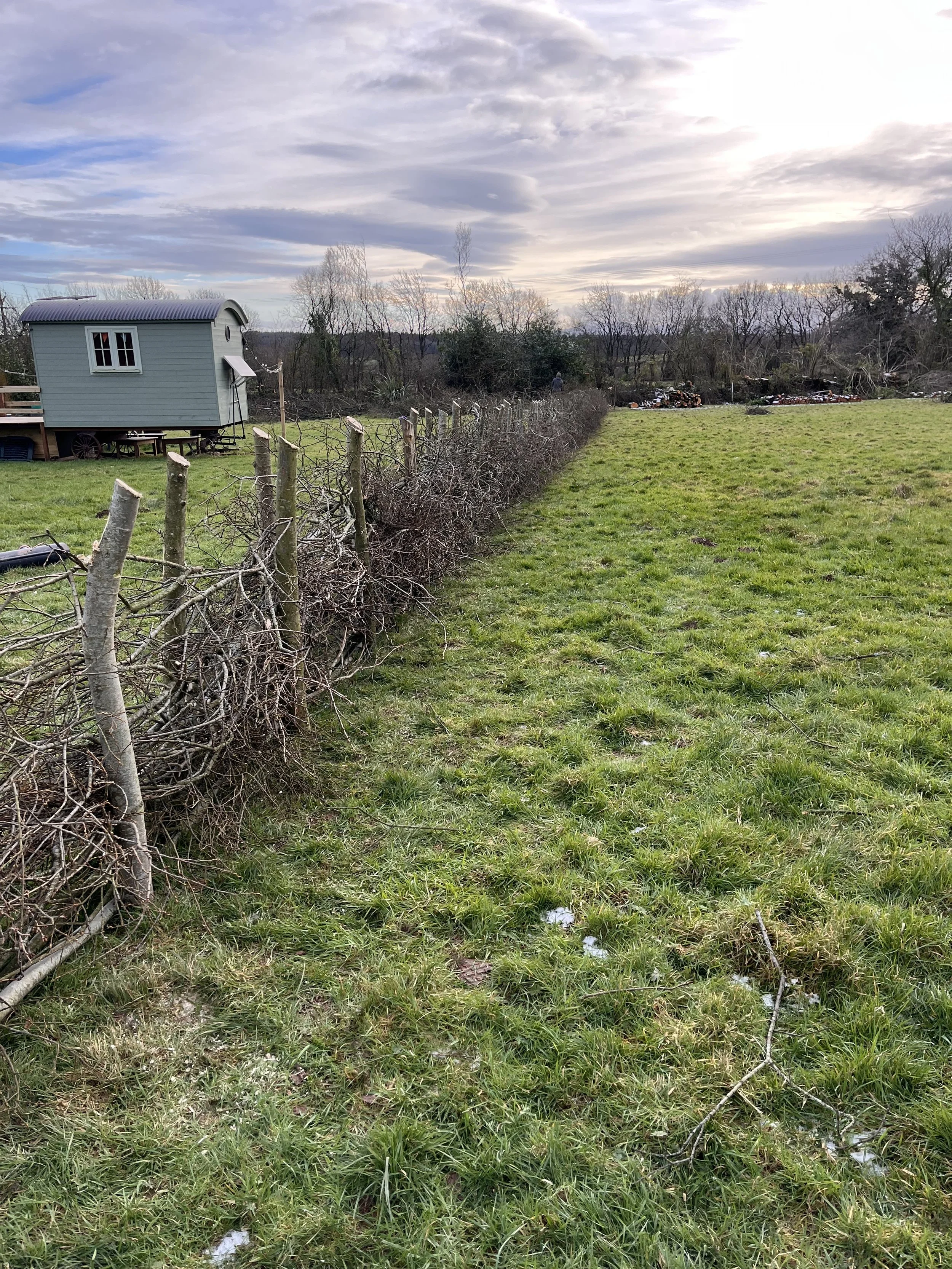       
  
   
 It all begins with a dead hedge… 
 January 6th 2026  After many family discussions we have finally chosen the plot for the flower farm. With much excitement I’m keen to crack on and get the farm set up but yet again the British weather