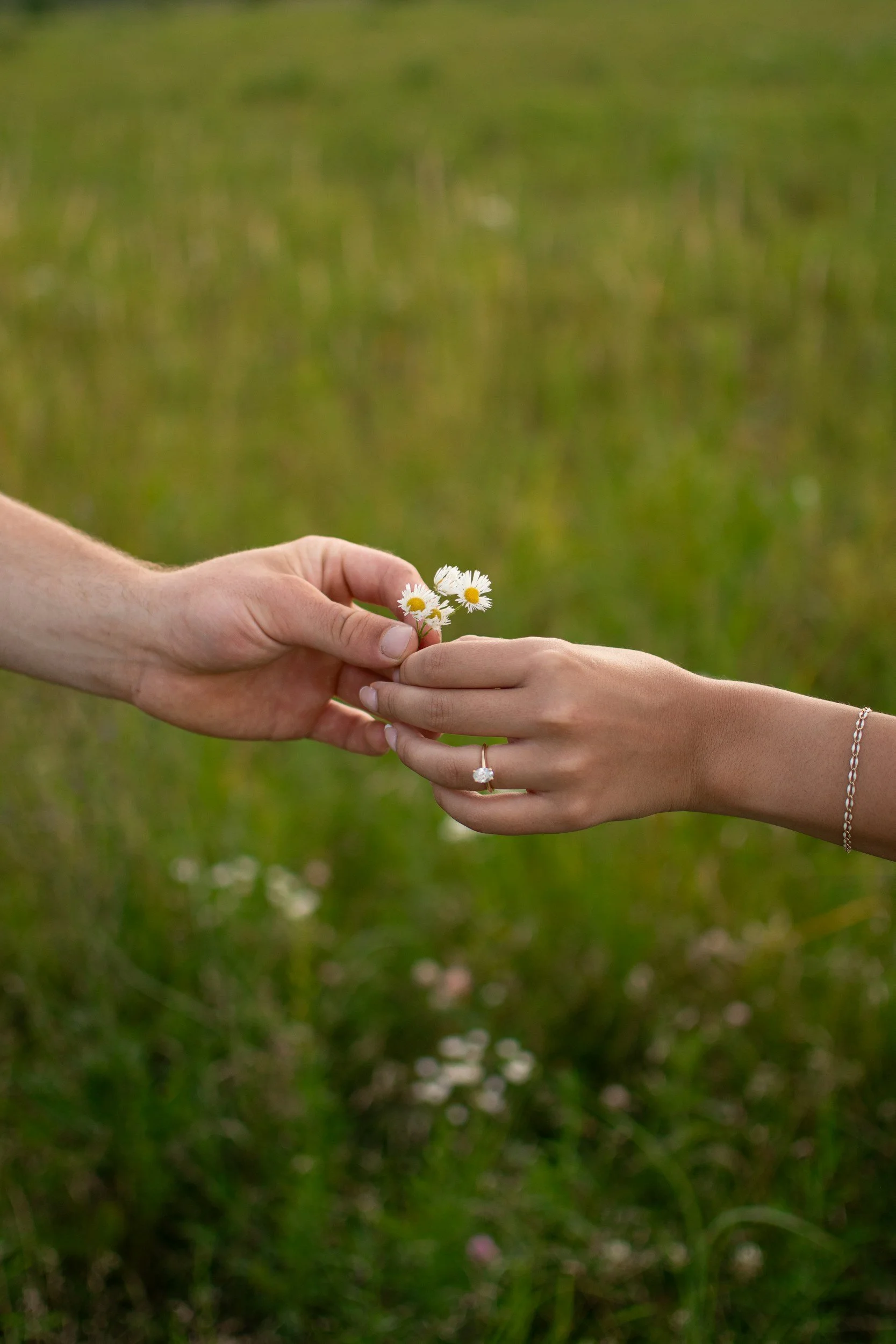 Two hands exchanging a small bouquet of daisies outdoors in a grassy field.