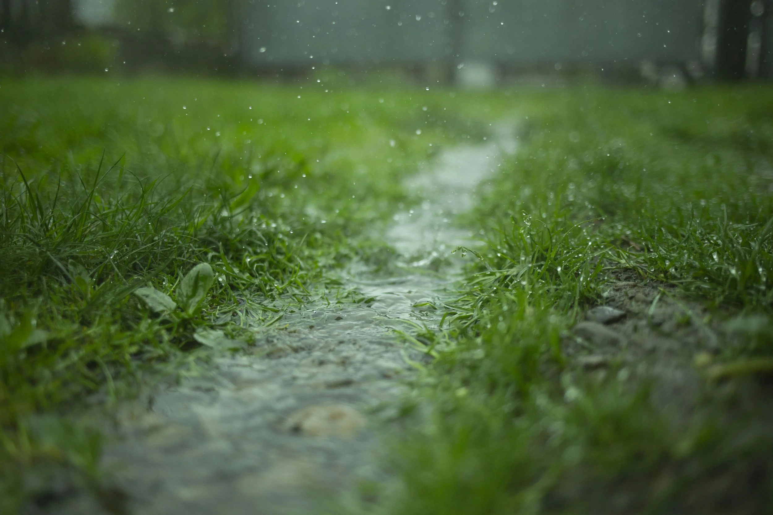 When the rain stops…