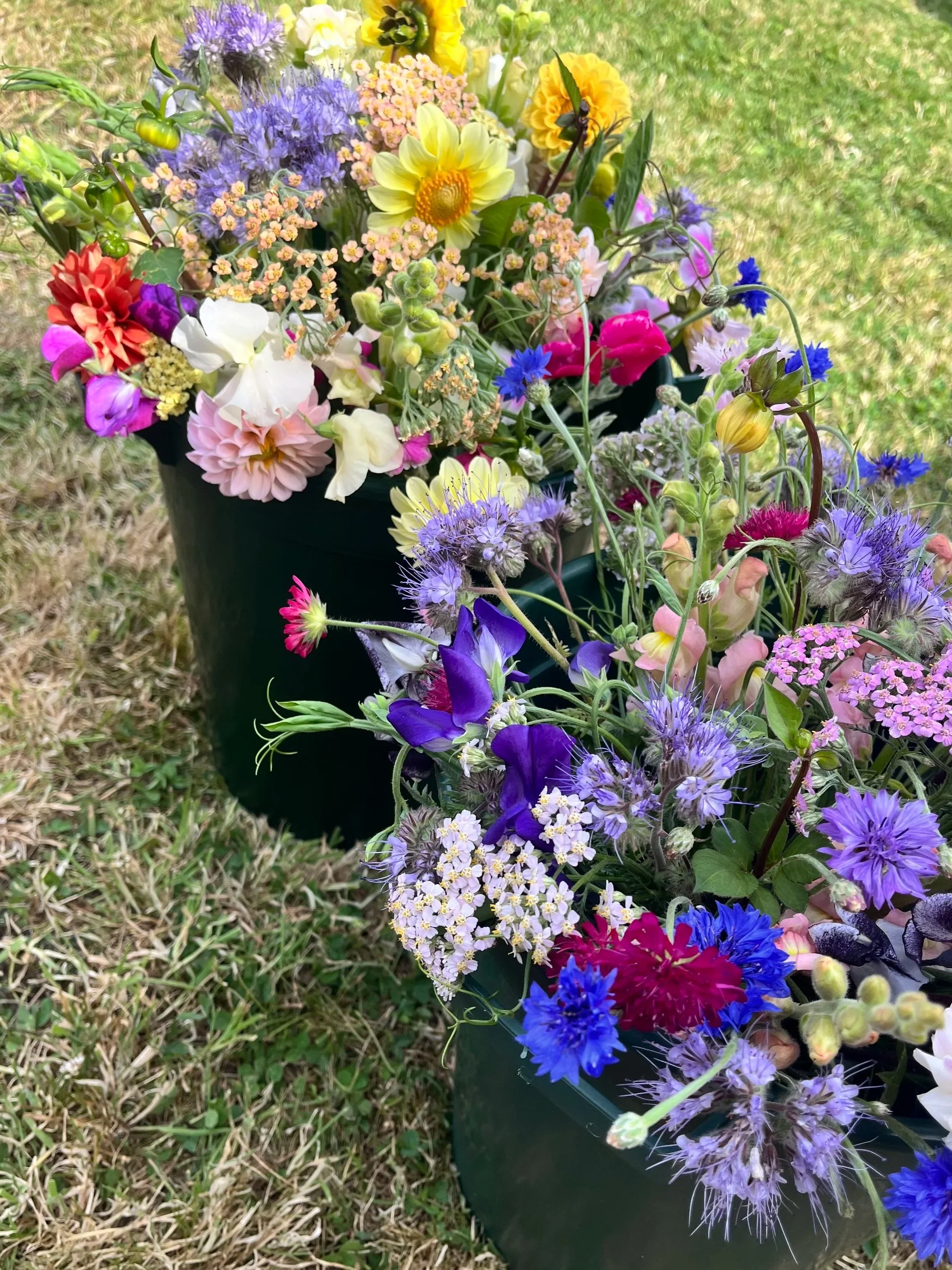 Colorful flower bouquet in a green container, featuring yellow, pink, purple, red, white, and blue flowers, placed on grass outdoors.