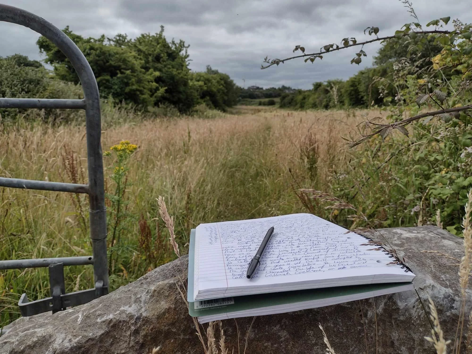 An open notebook with handwritten notes and a pen resting on the pages, placed on a rock in a field with grass and wildflowers. In the background, trees and a cloudy sky are visible, with part of a metal gate in the foreground.