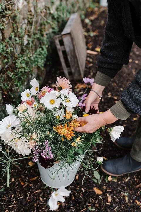 Person planting or arranging flowers in a white pot outdoors, with a wooden box in the background and greenery on the side.