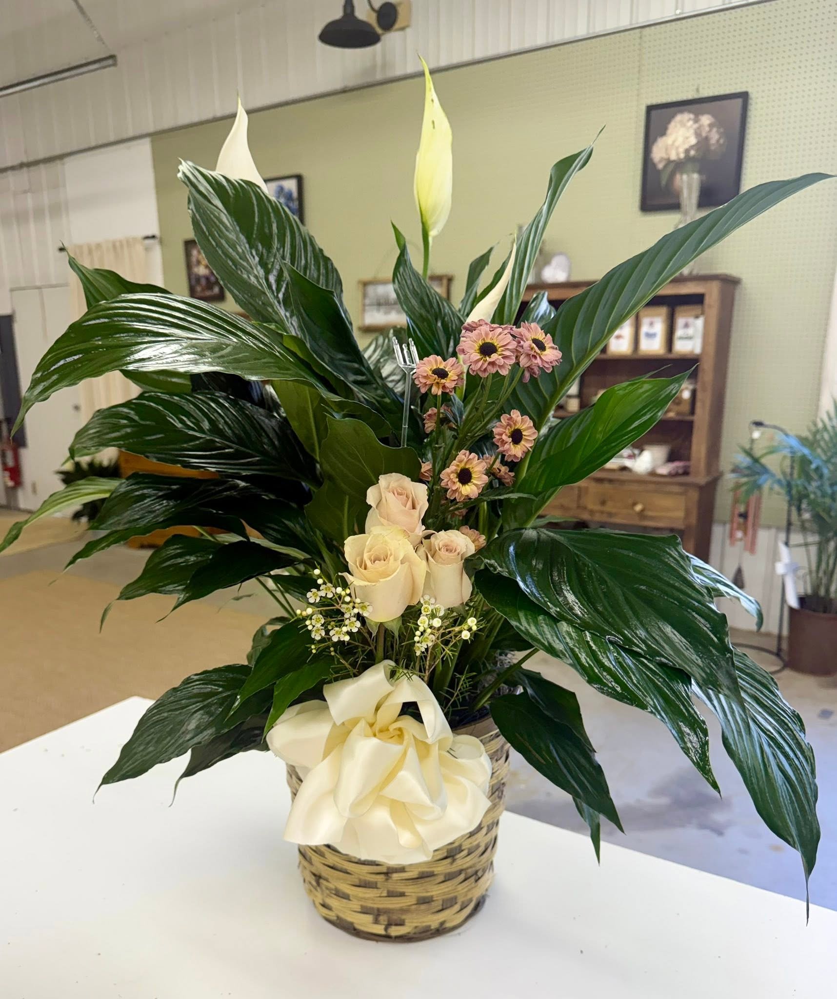 Peace lily.jpg