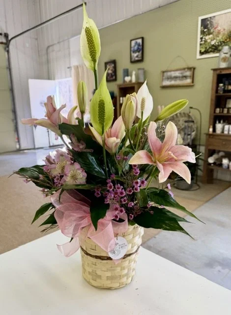 Peace Lily