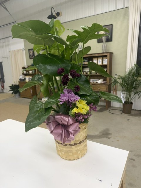 Monstera with Floral Accent